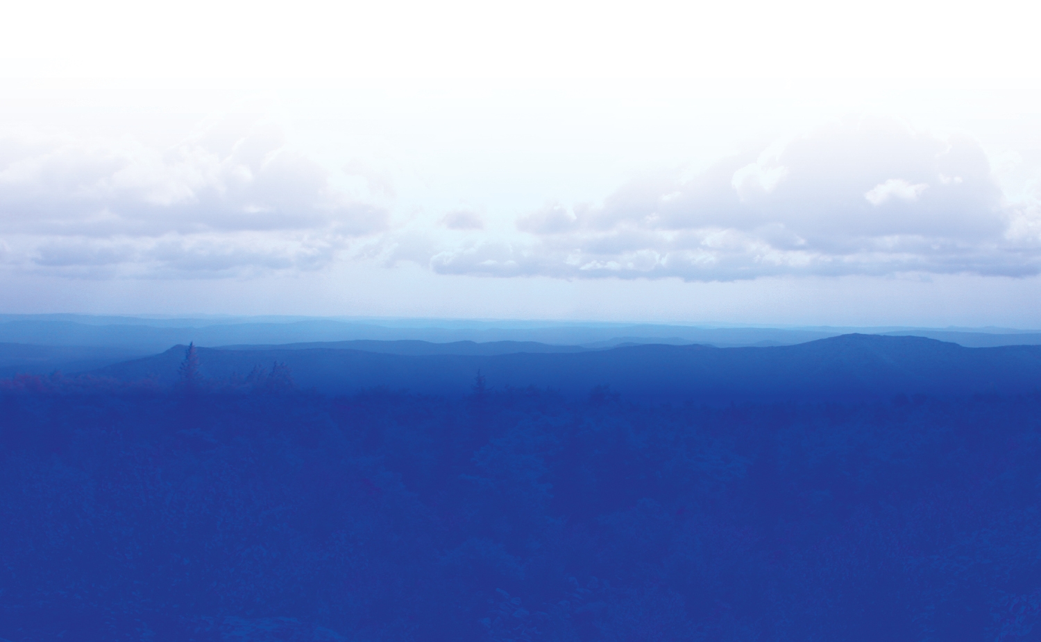 Untitled-1.jpg