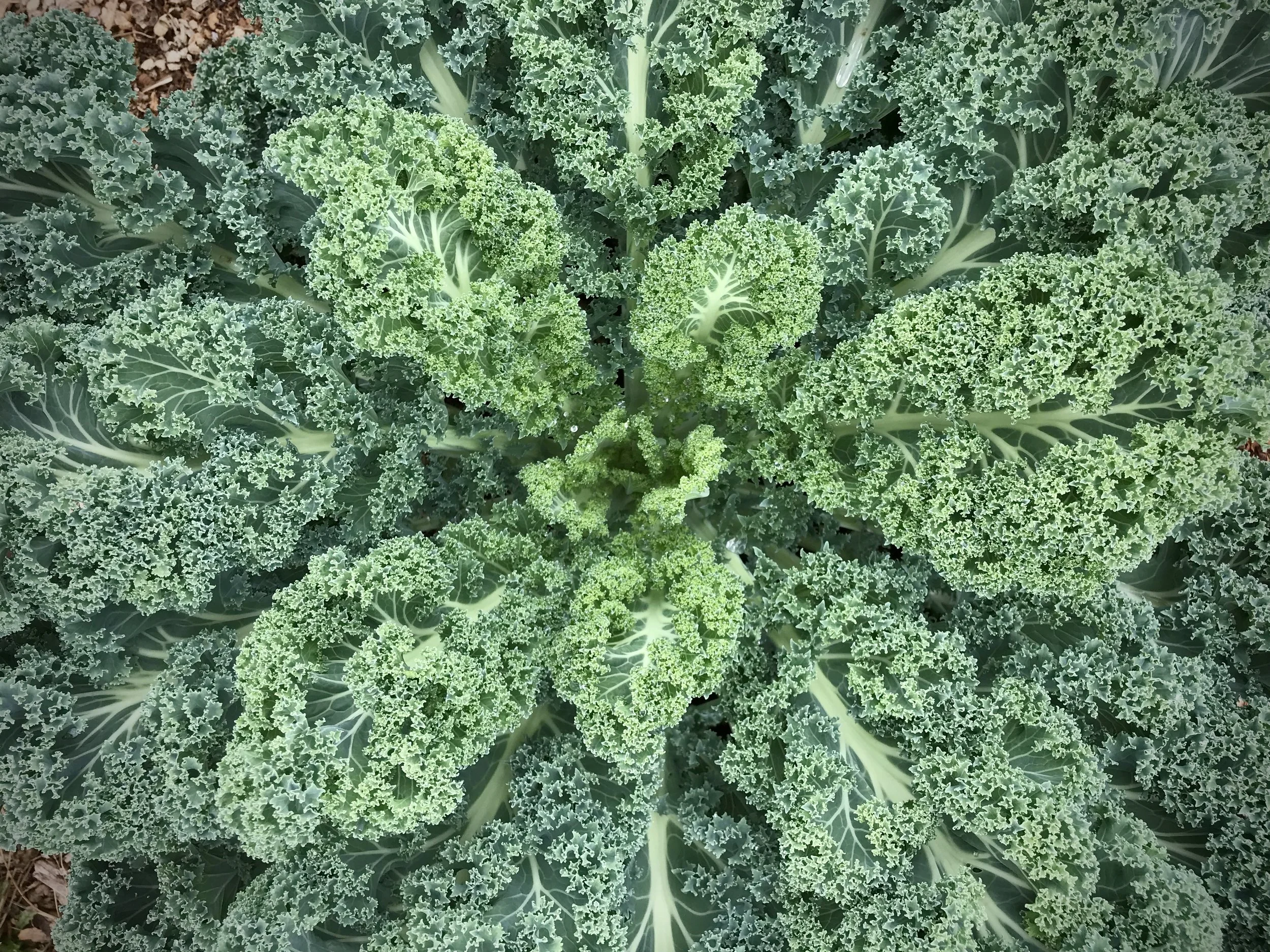 Practical Food Safety and USDA Programs Workshop