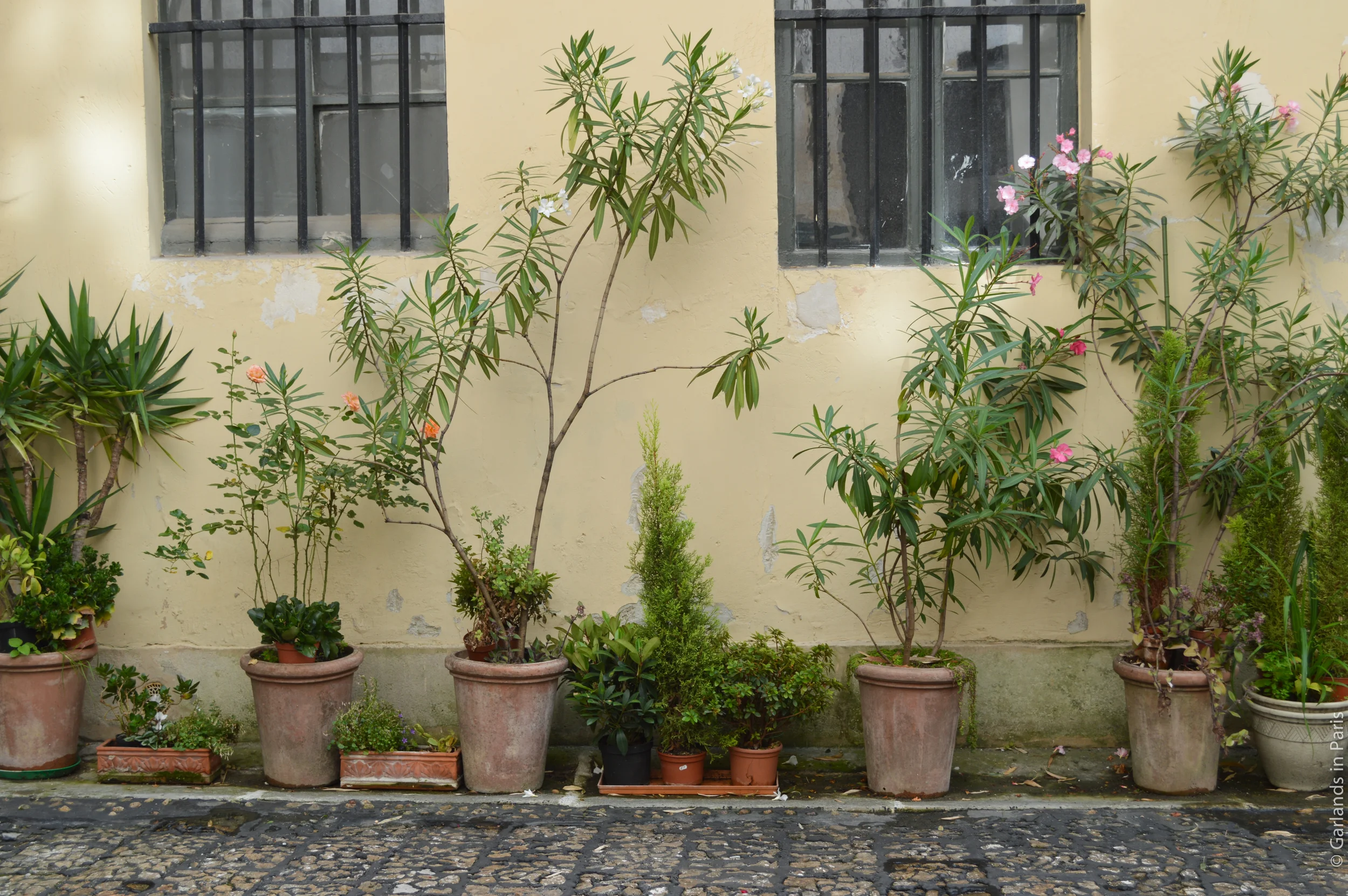 DSC_0114.jpg