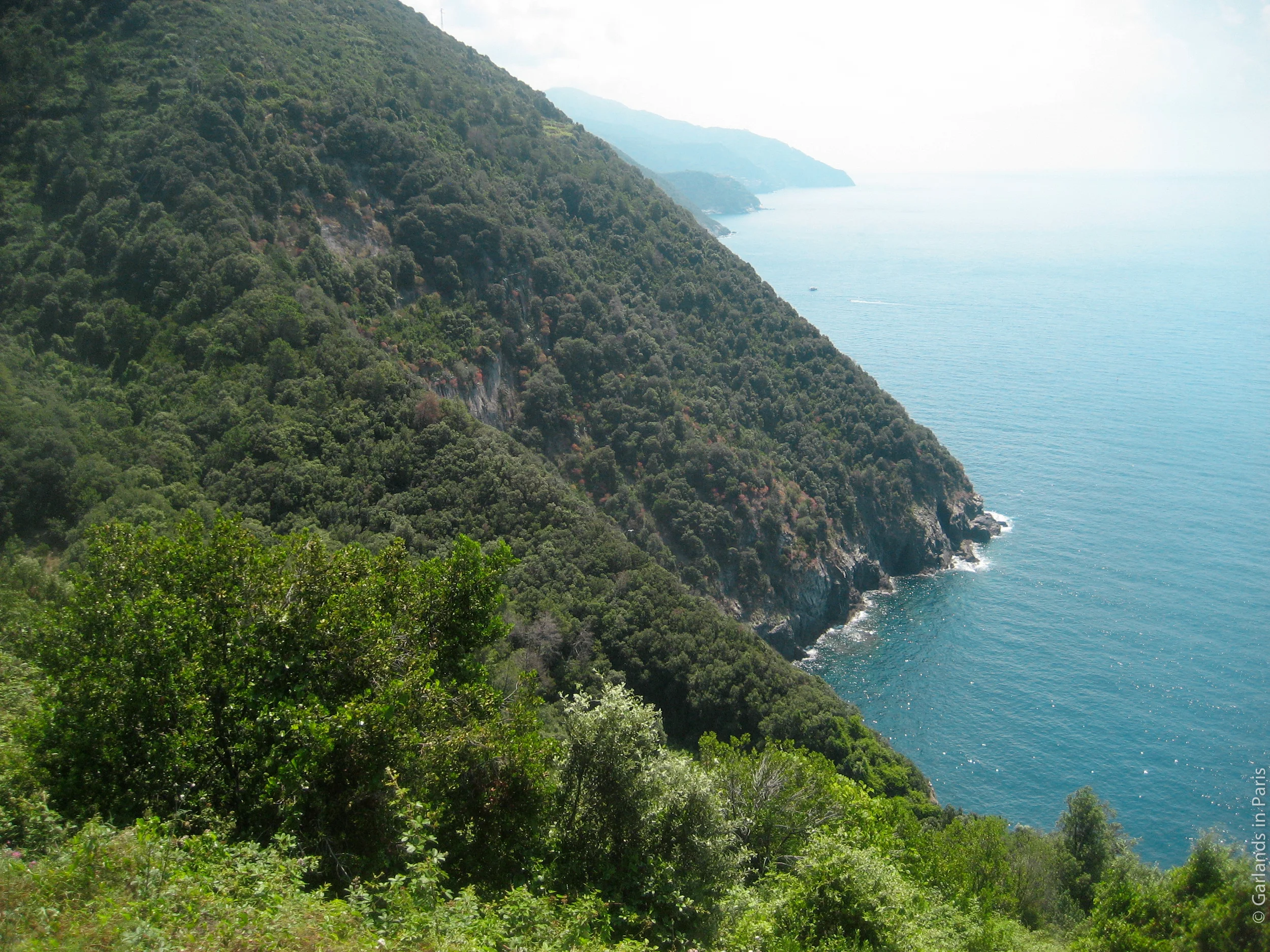 IMG_8278.jpg