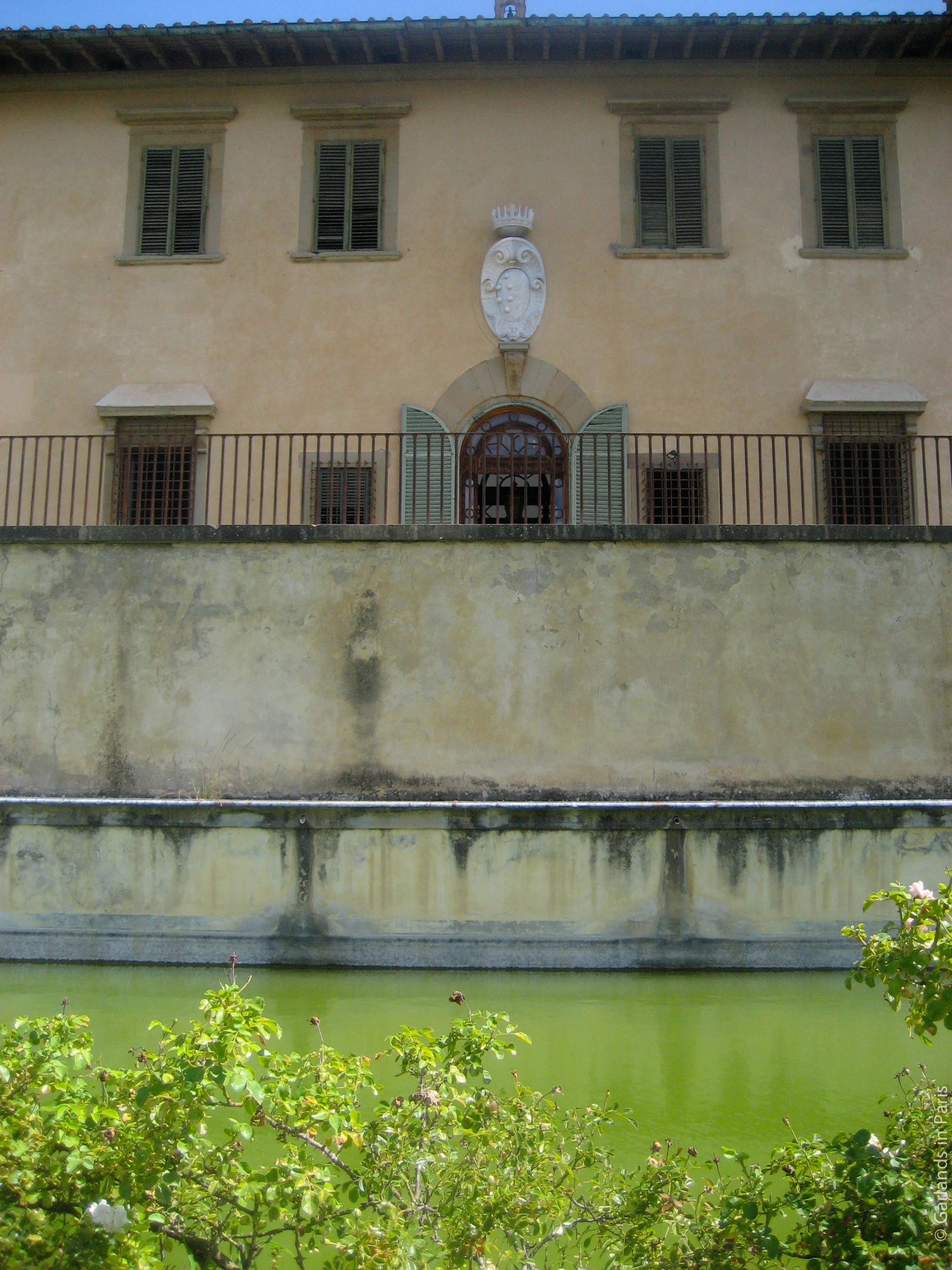 IMG_9185.jpg