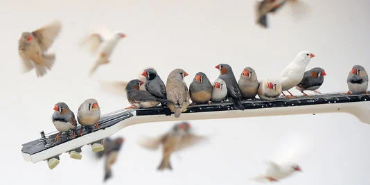 Photo Source: AFP/CARL DE SOUZA