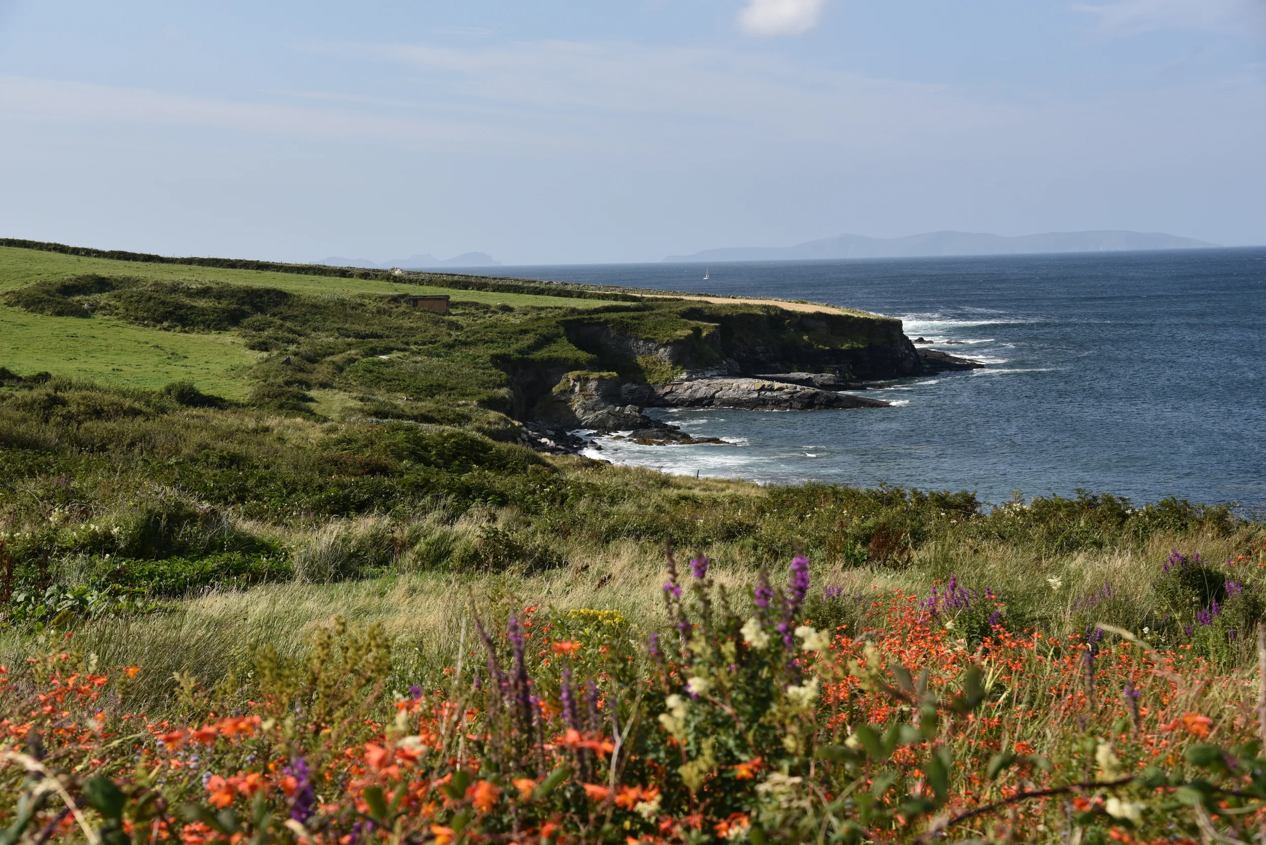 DSC_1037.JPG