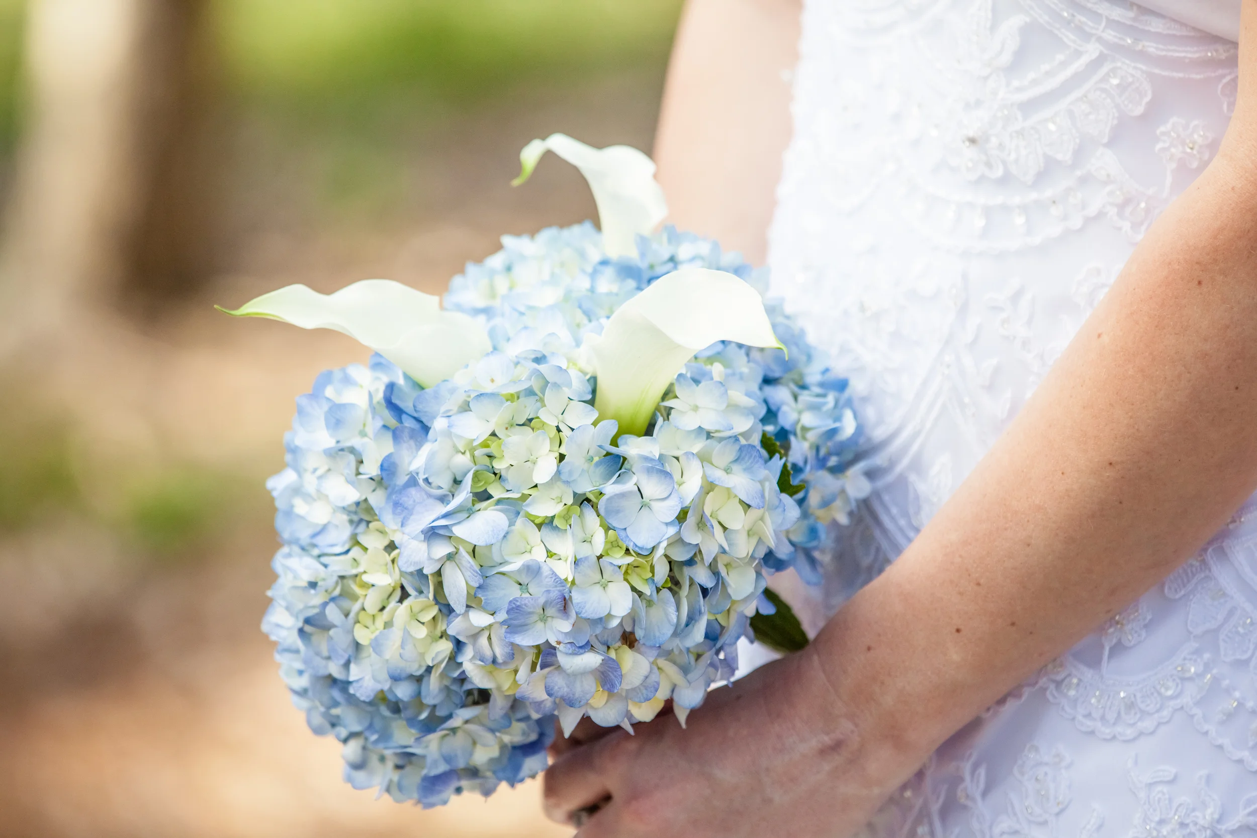 richard barlow photography - Bridal Portrait Photography in North Carolina