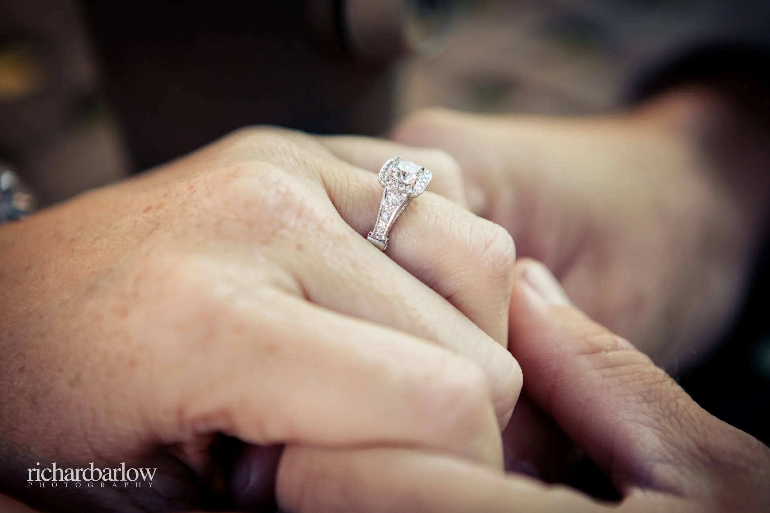 richard barlow photography - Mike and Renee Engagement Session NC-12.jpg