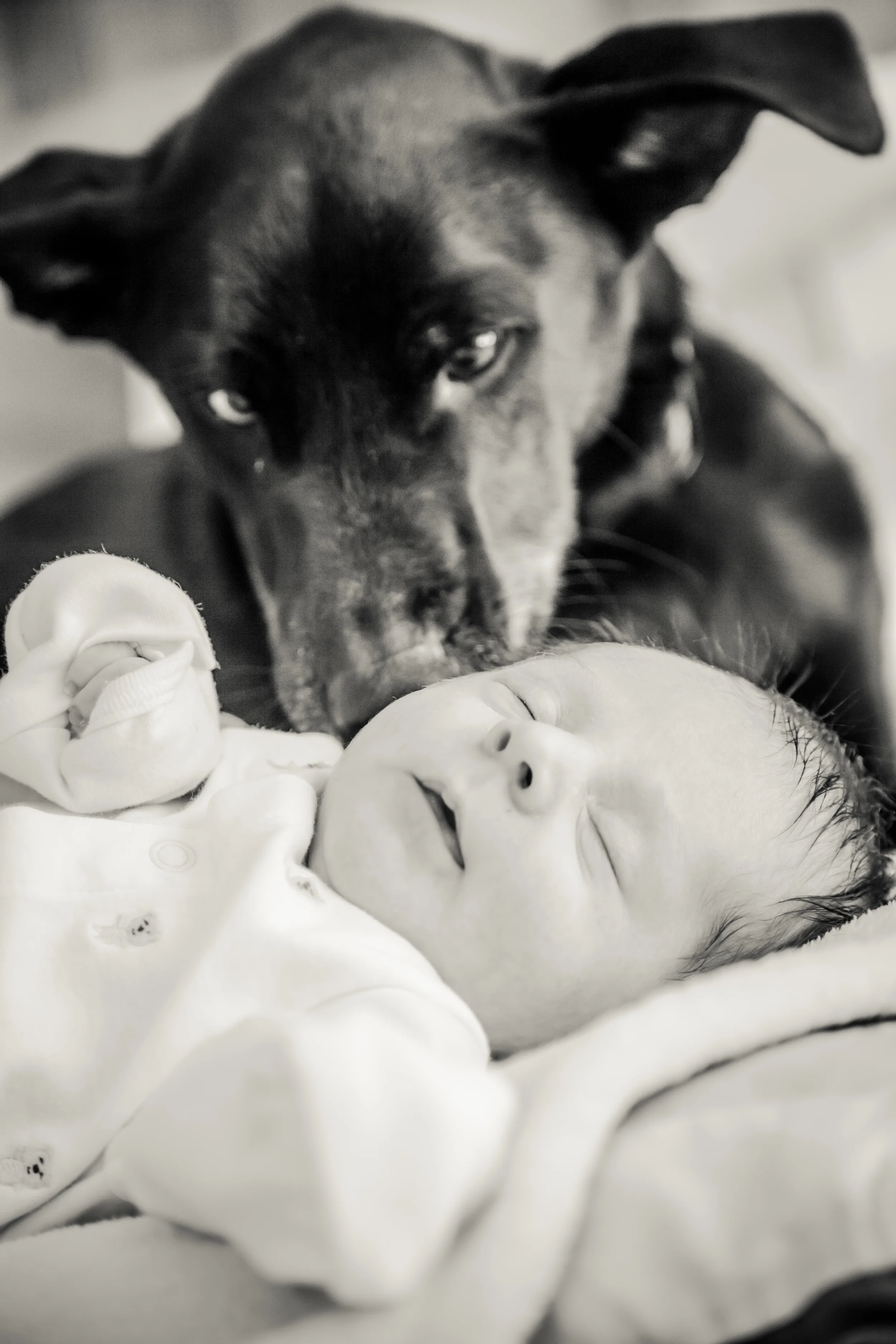 Richard Barlow Photography - Newborn Photography in North Carolina