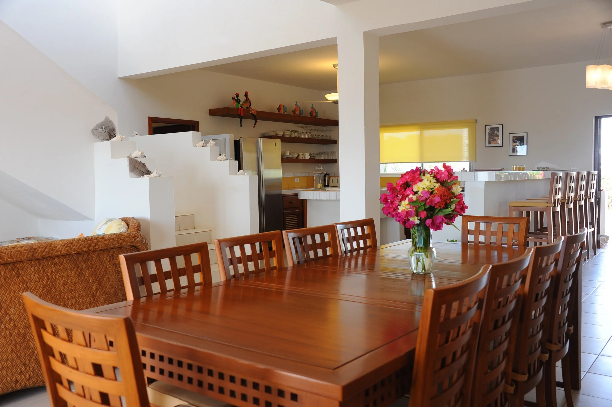 SUSAN CROFT PHOTOGRAPHY ANGUILLA 2011-37.jpg