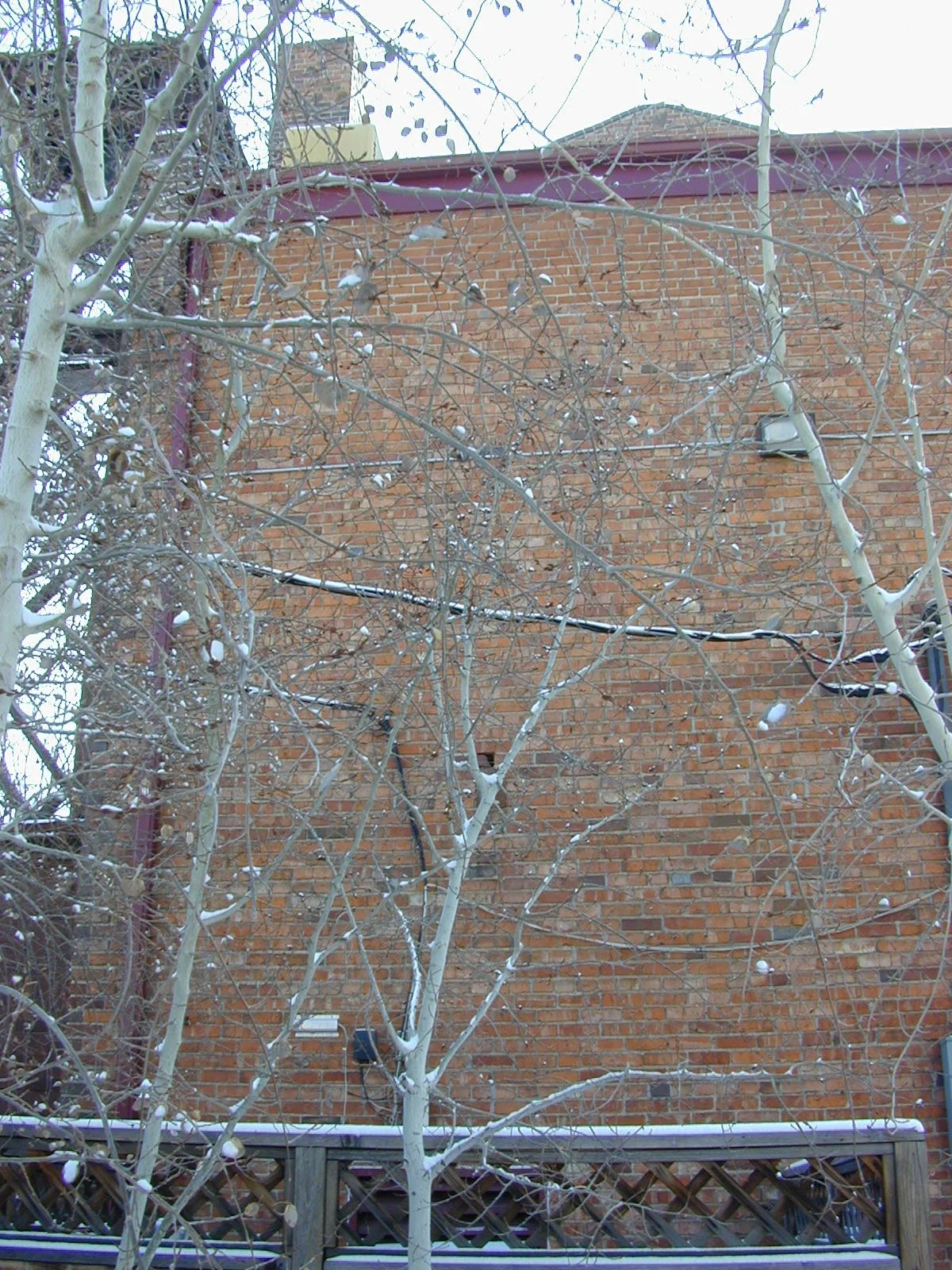 Existing rear of nave.JPG