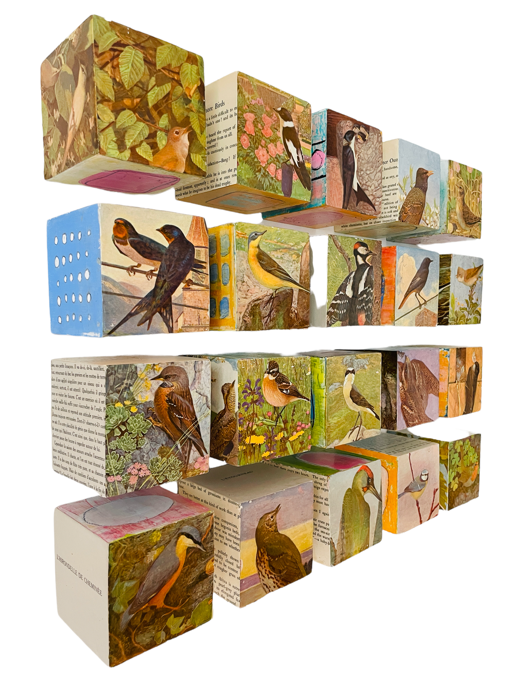Bird Cubes_side.PNG