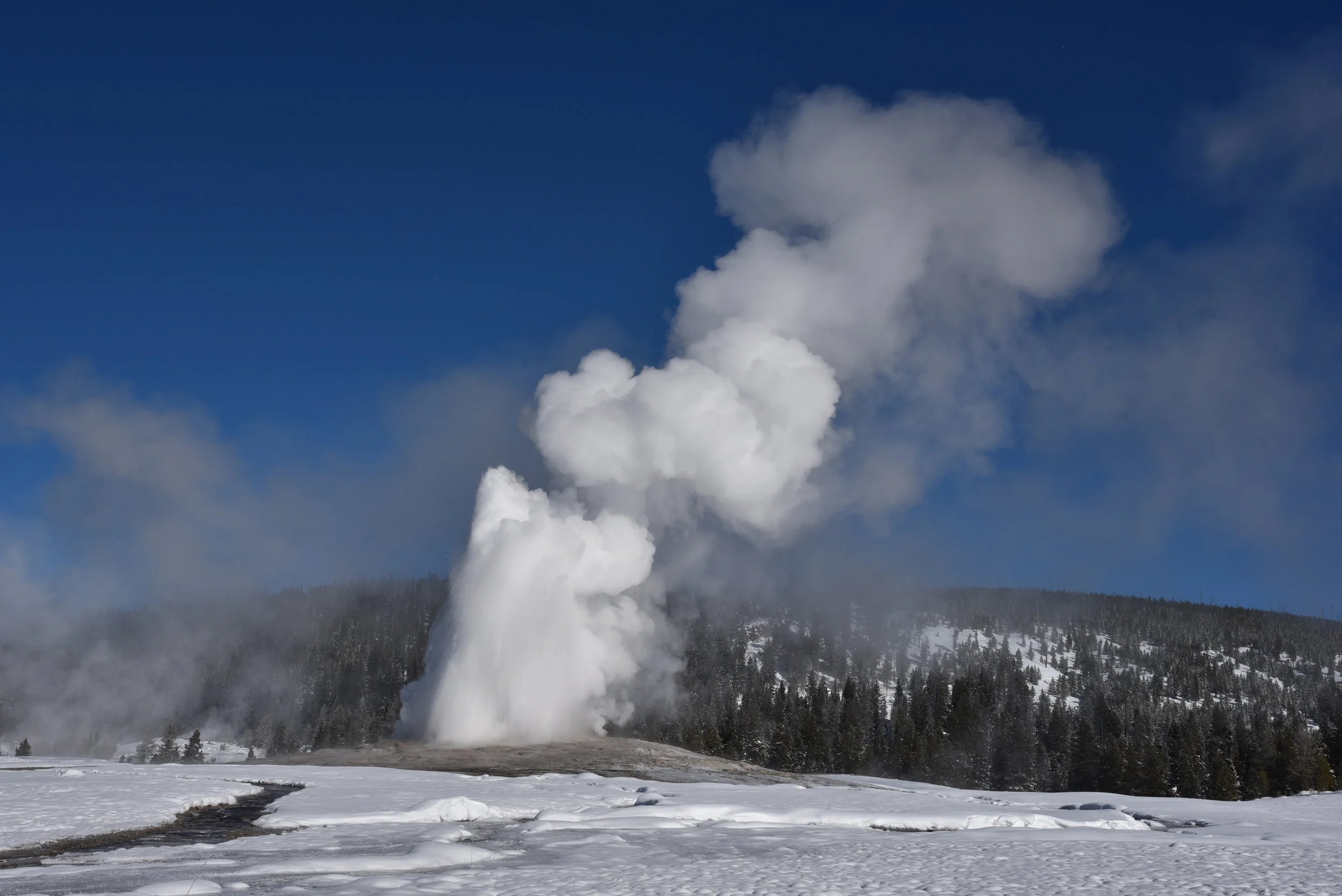 DSC_3147.JPG