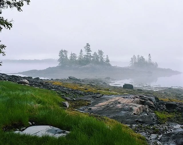 Foggy coastal morning textures.
.
.
.
.
.
#maine #coastal #mainething #mainelife #mainestateparks #visitmaine