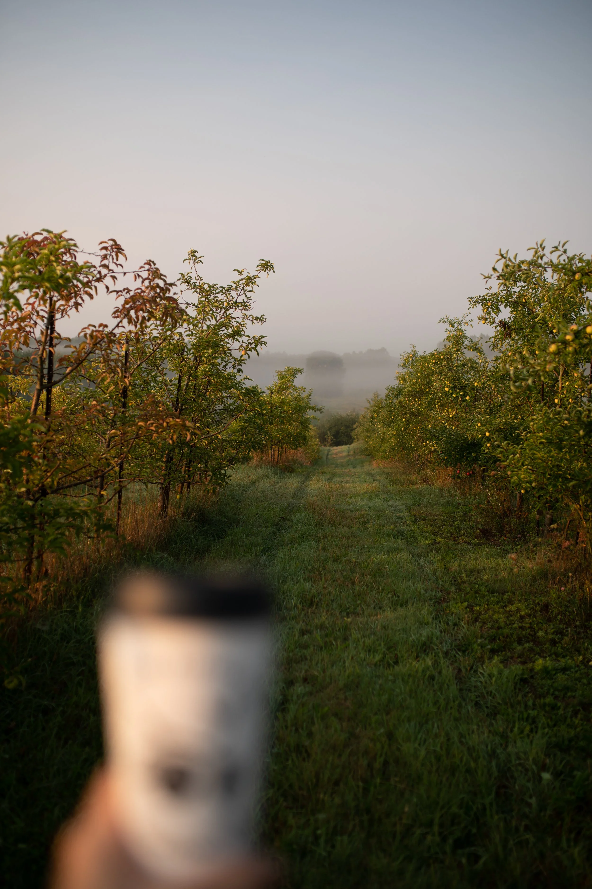 DSC_6367.JPG