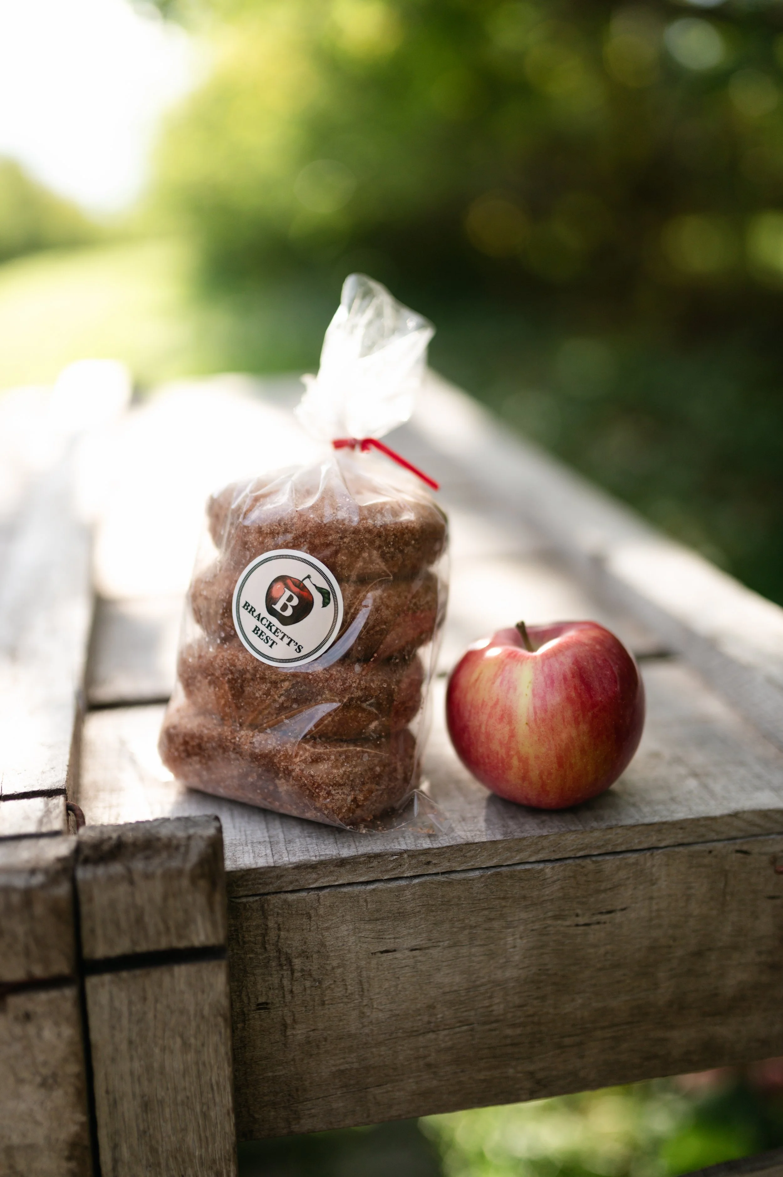 Brackets- Shoot 2- 2025-02.jpg