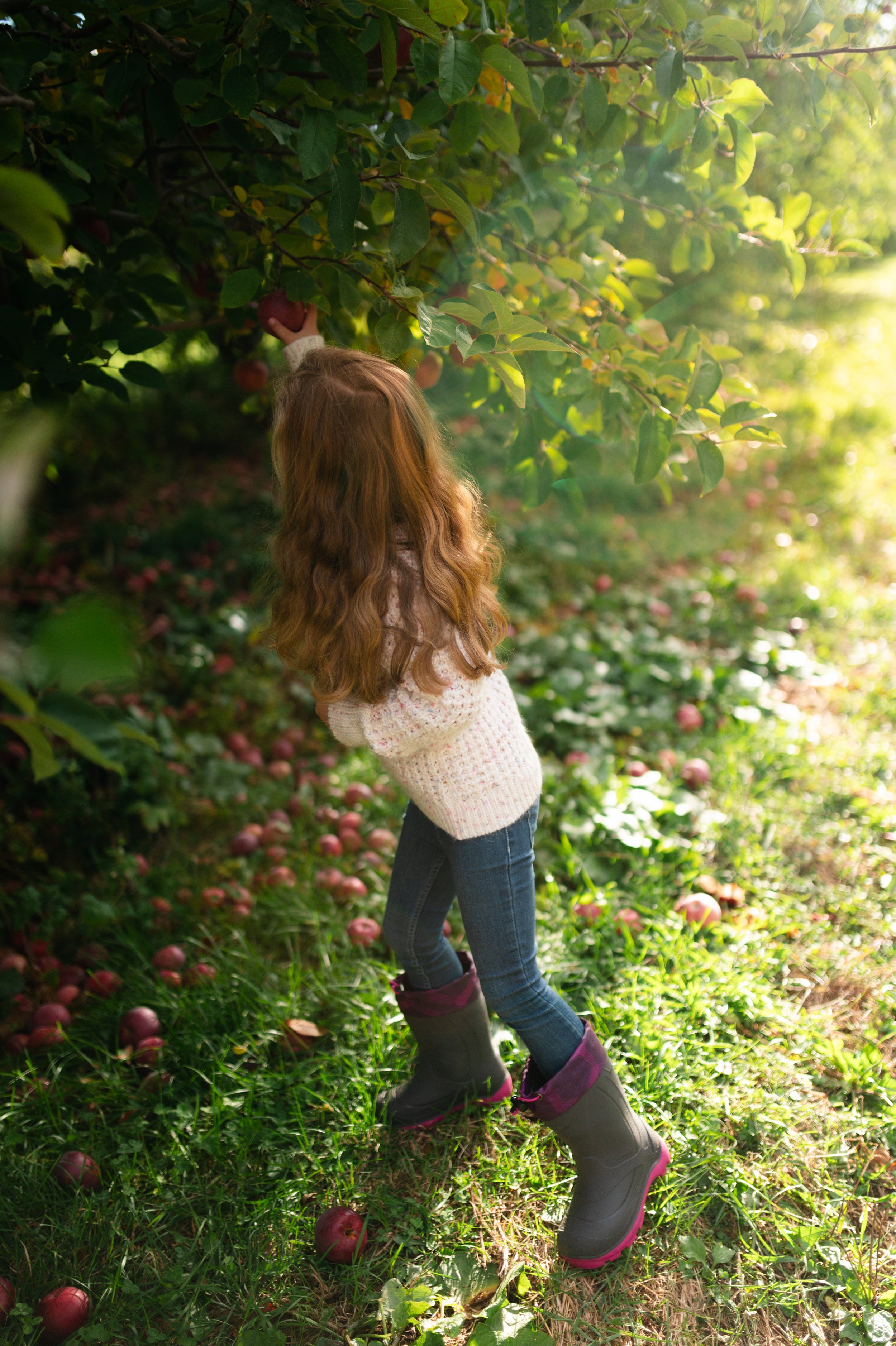 Brackets- Shoot 2- 2025-09.jpg