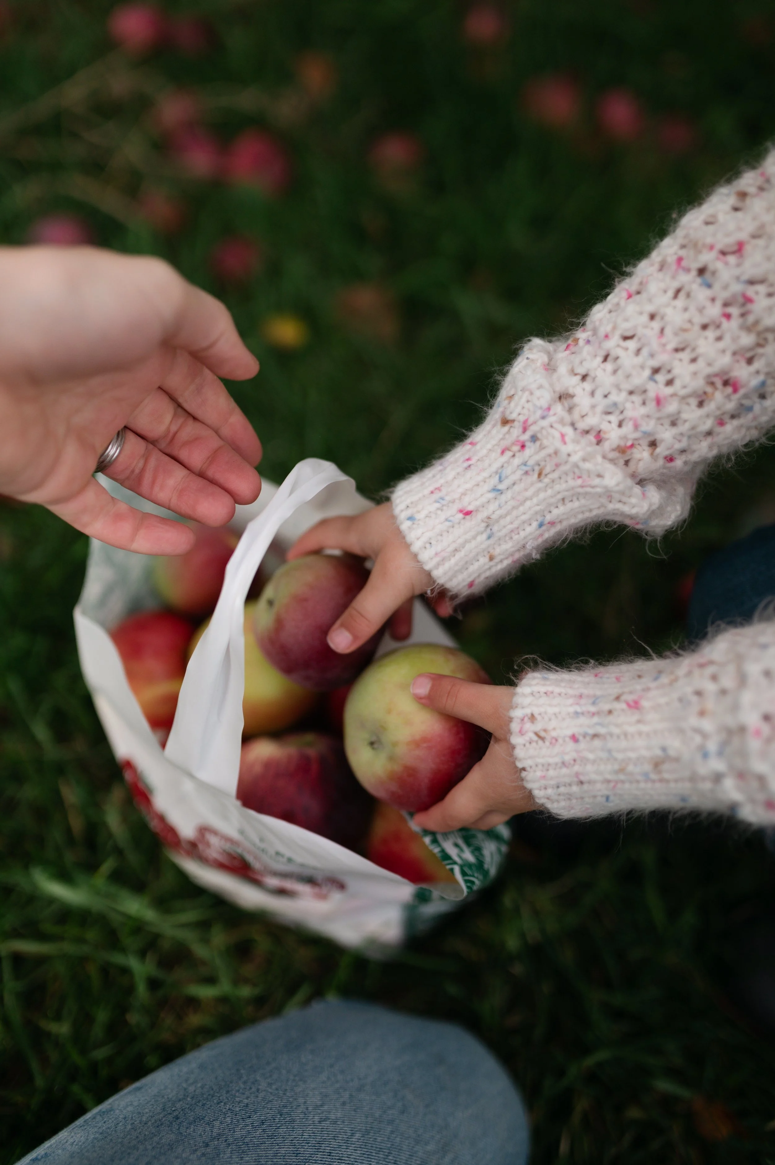 Brackets- Shoot 2- 2025-18.jpg