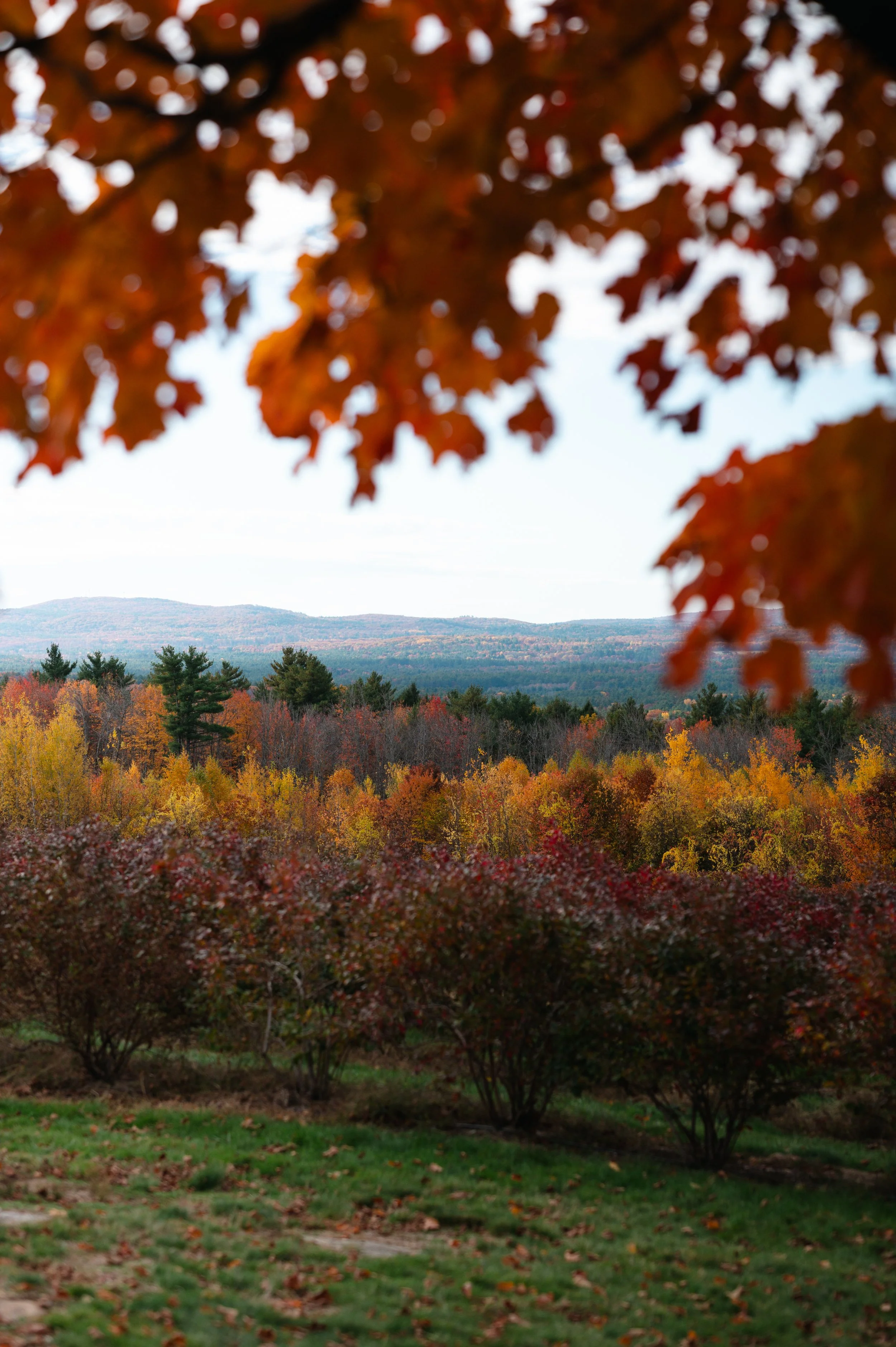 Brackets- Shoot 2- 2025-23.jpg