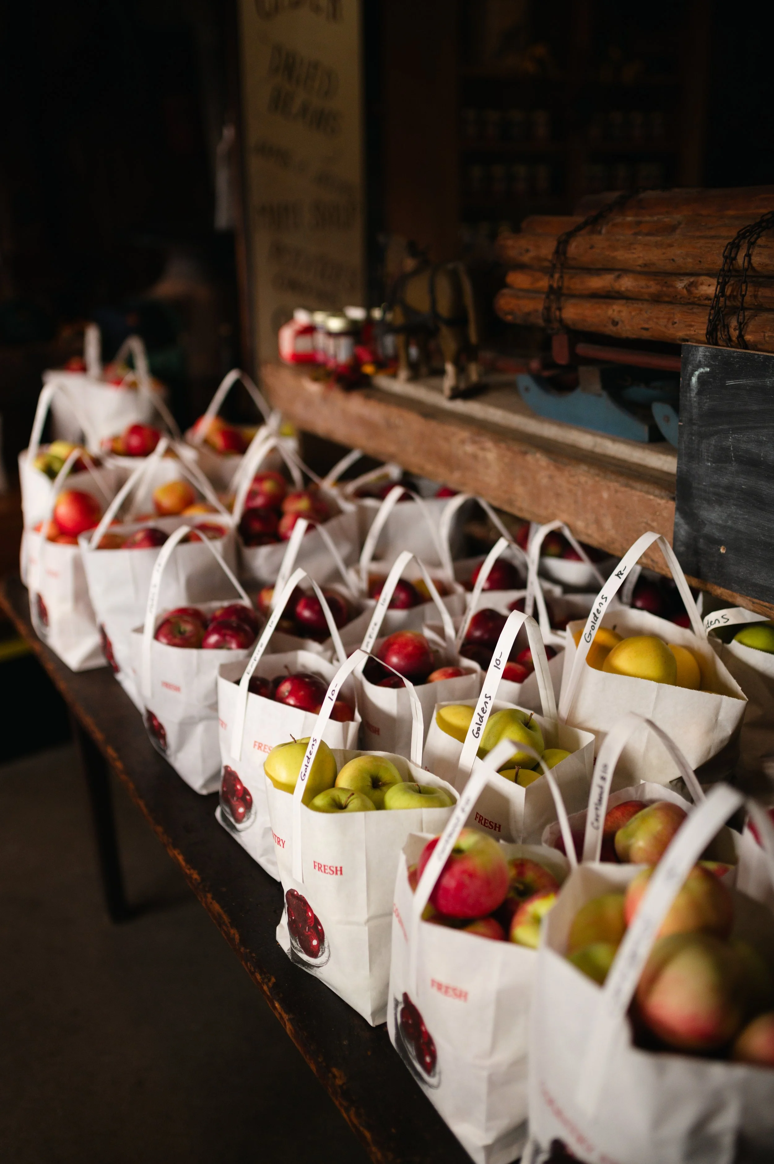 Brackets- Shoot 2- 2025-36.jpg