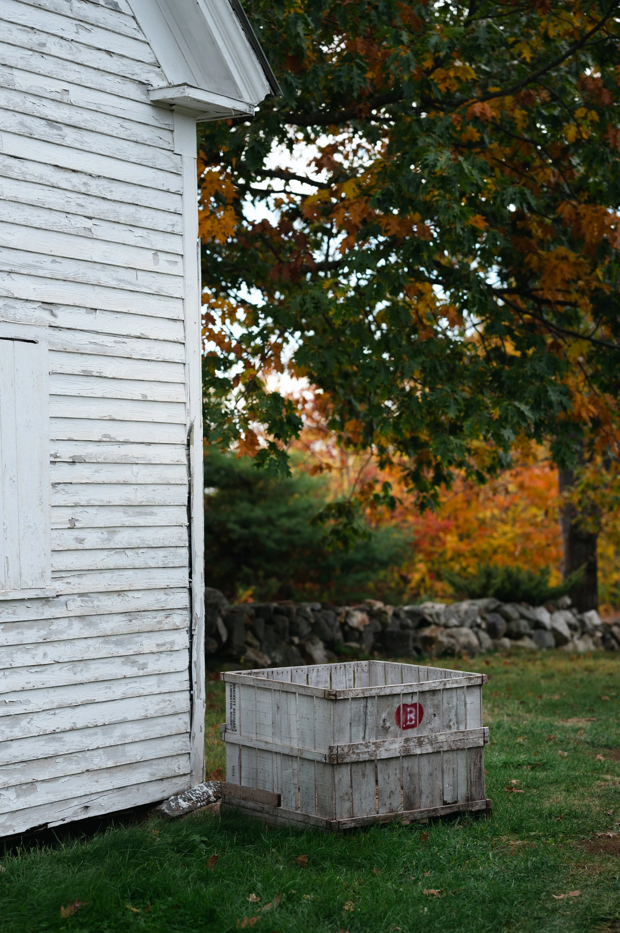 Brackets- Shoot 2- 2025-31.jpg