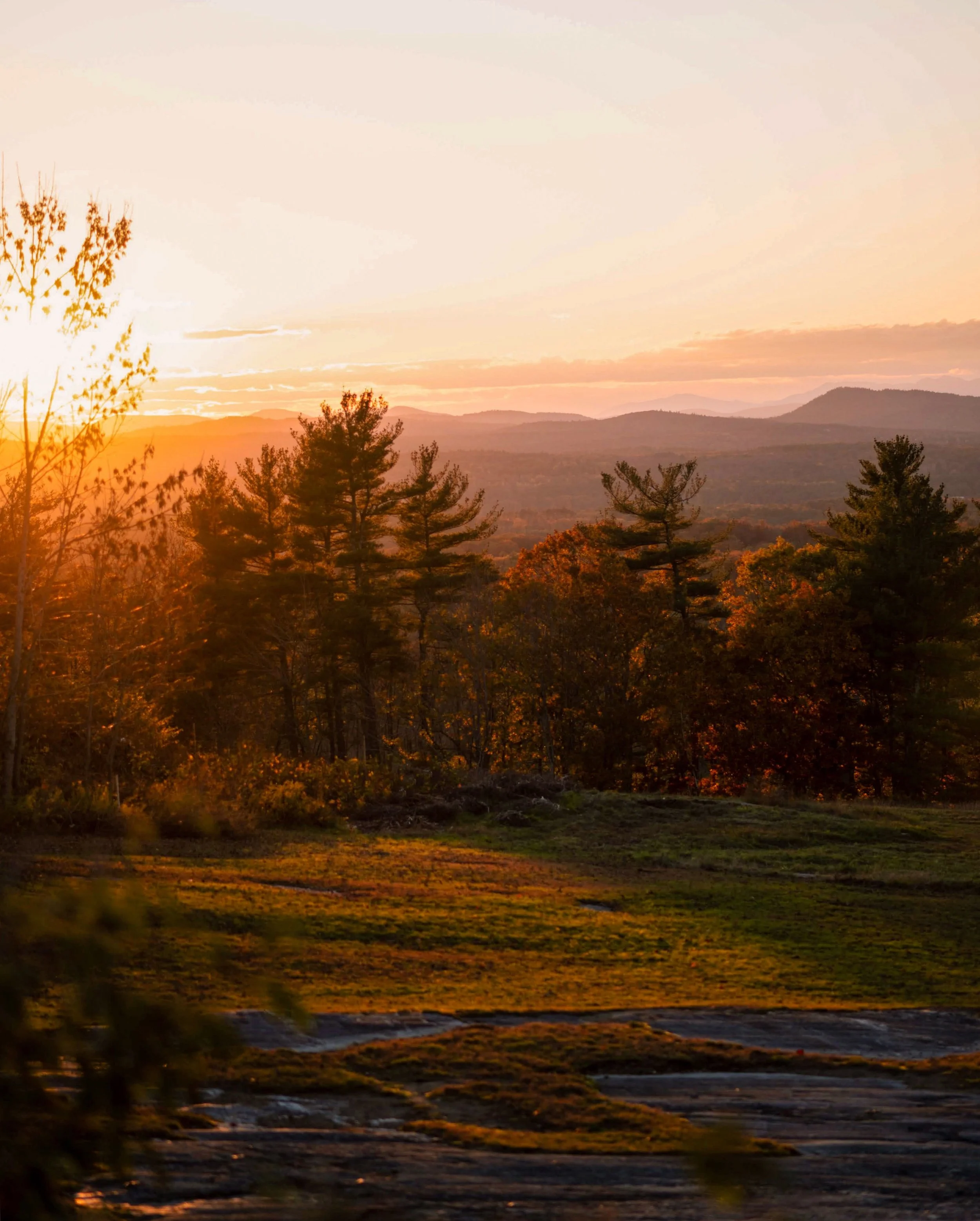 978910A7-6EBD-49CA-A3EB-7361CD24884F 2.jpg