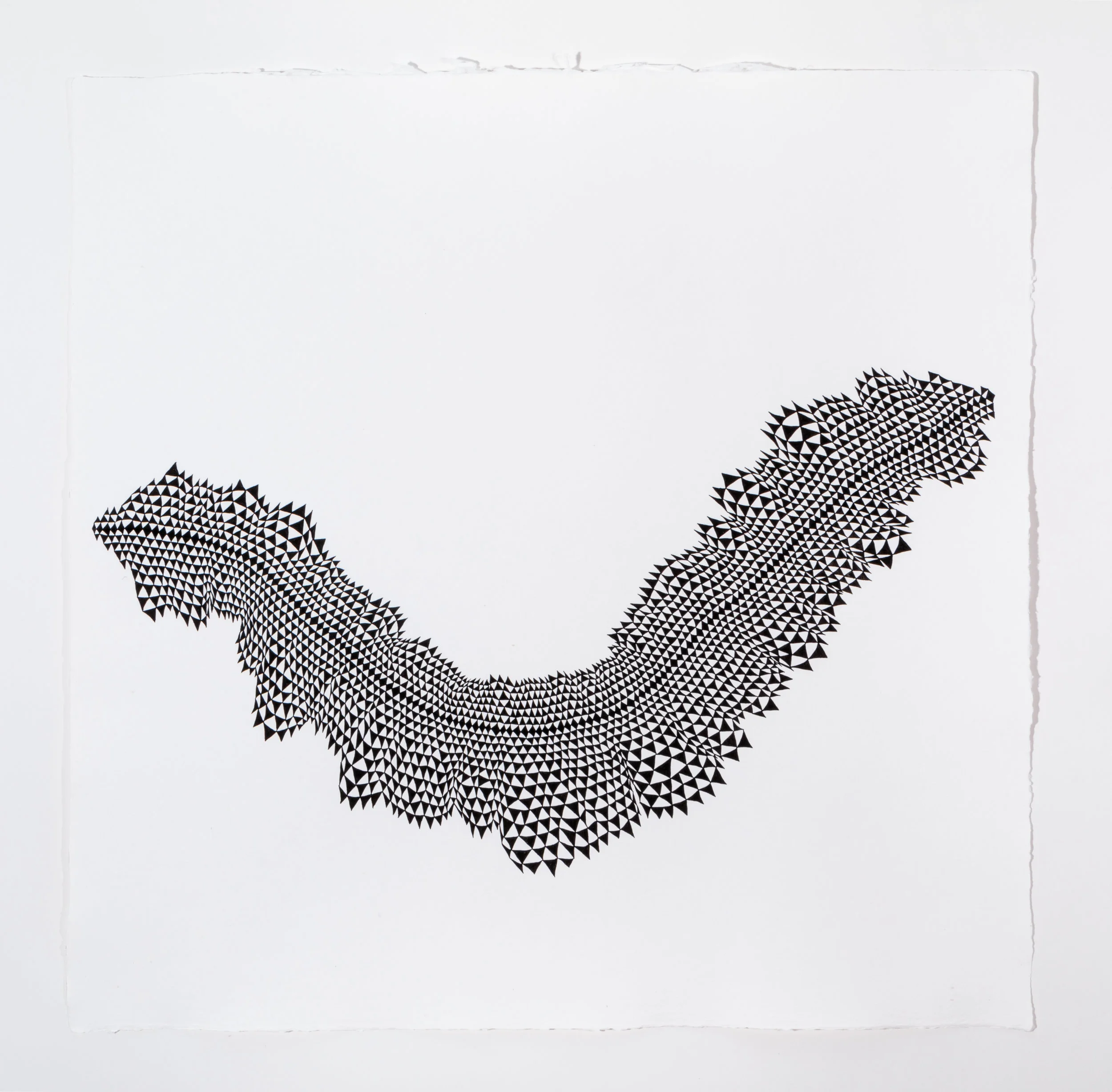 Untitled (Entoptical Illusions II)