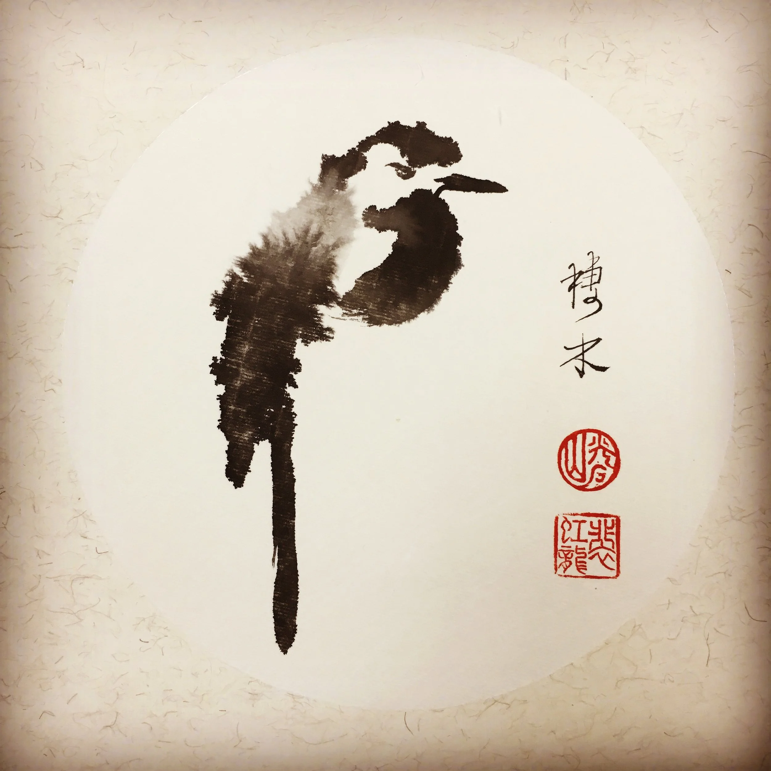 Bird by Josh Paynter