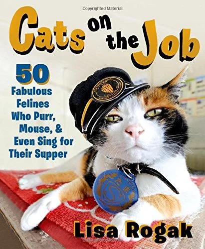 Cats on the Job!