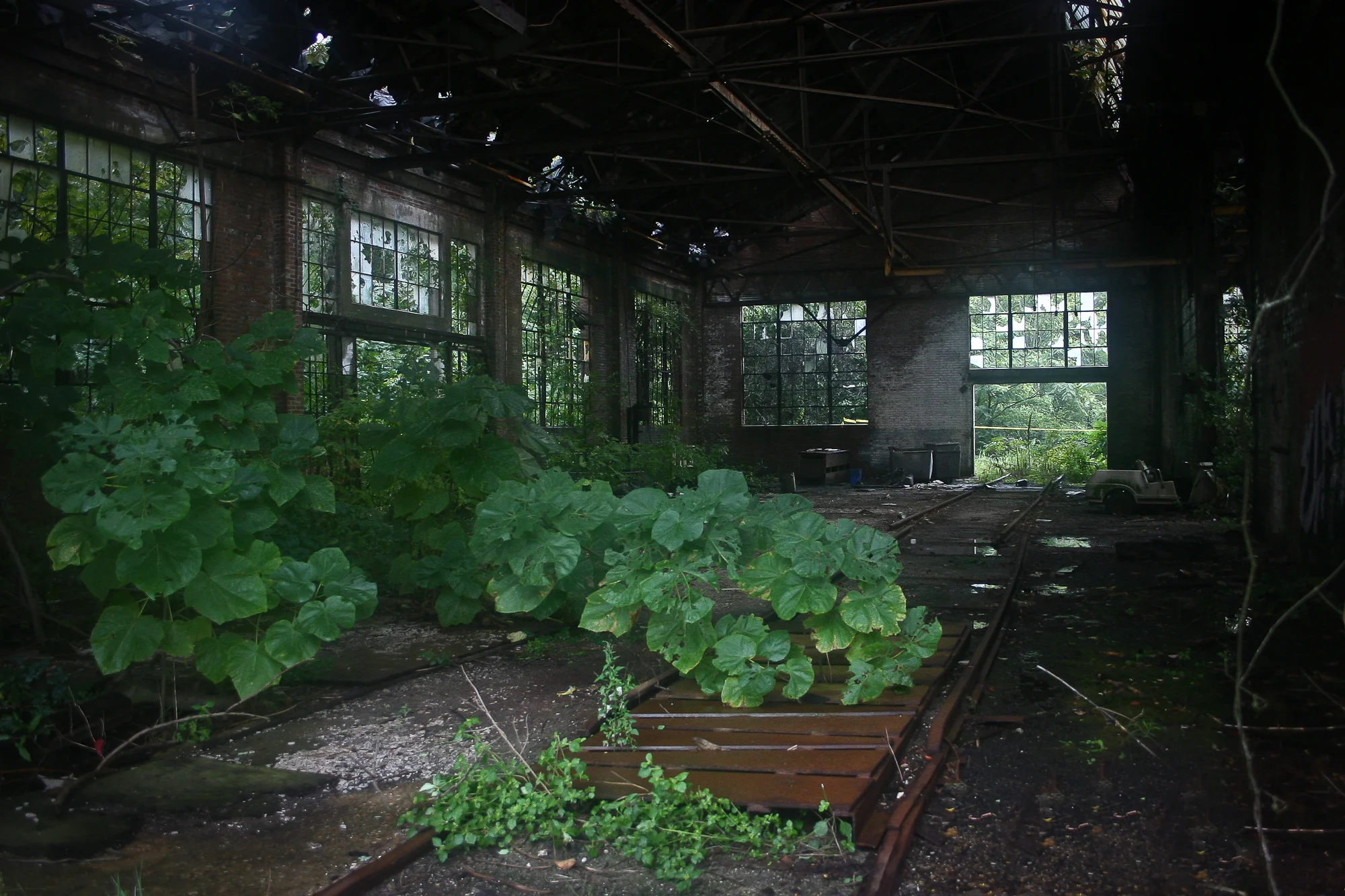 untitled-20.JPG