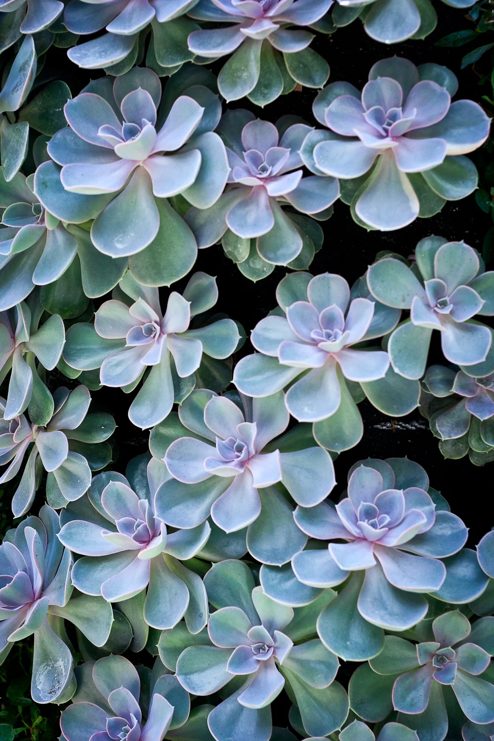 untitled-121 - Copy.JPG