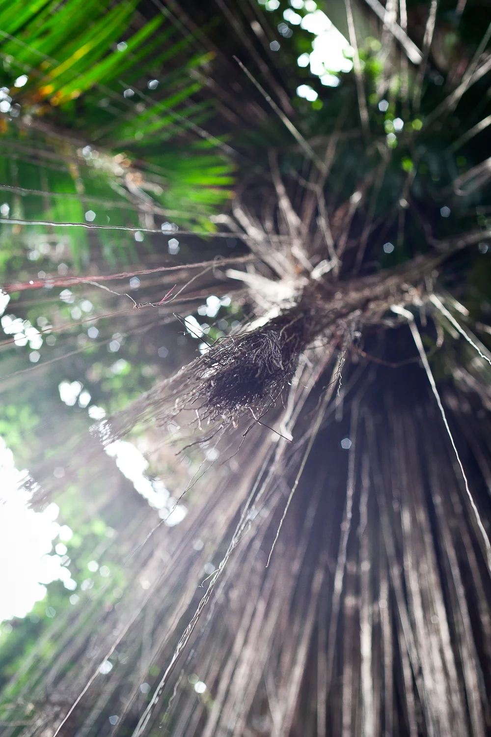 untitled-123 - Copy.JPG