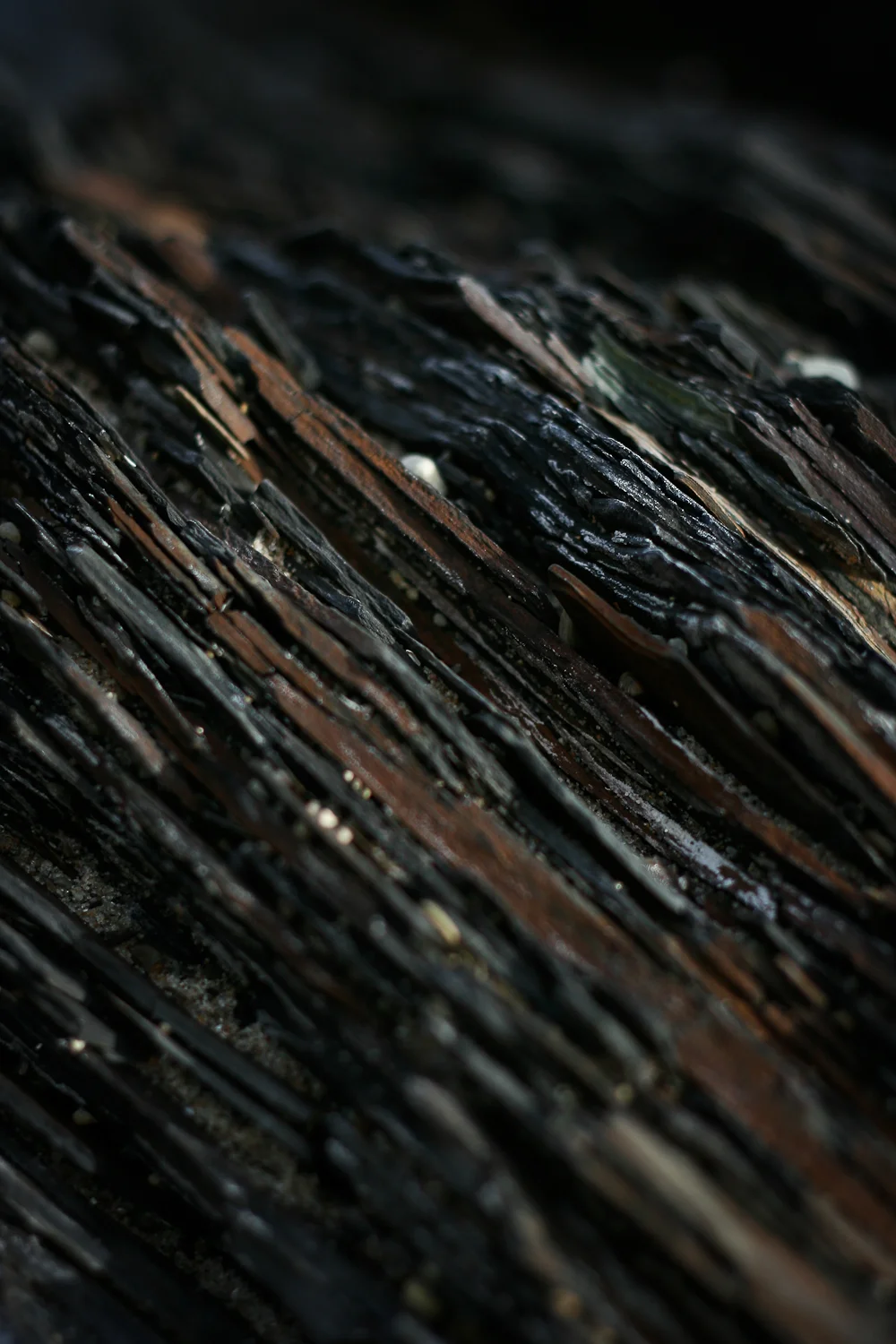 untitled-109.JPG