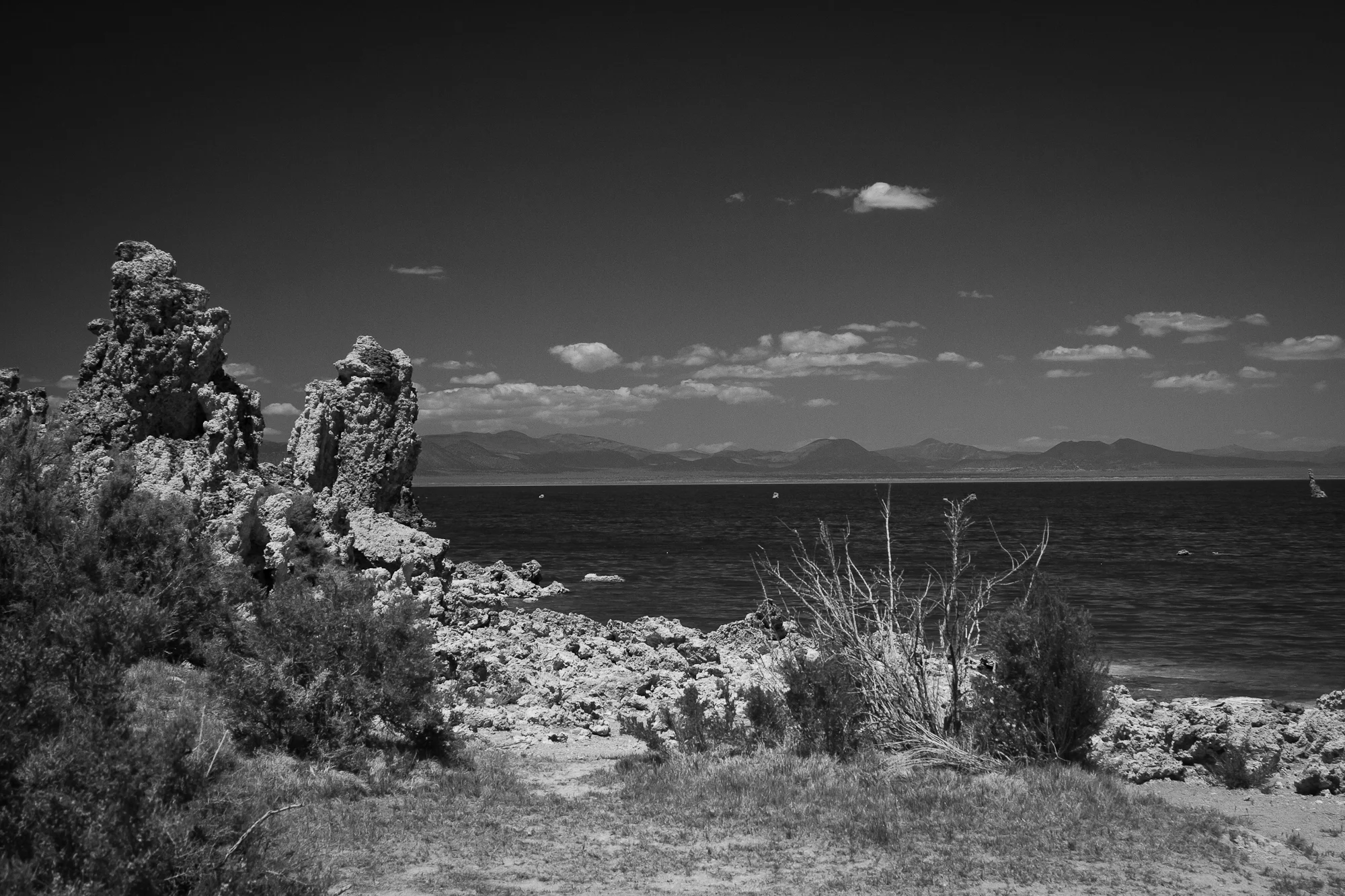 untitled-76.JPG