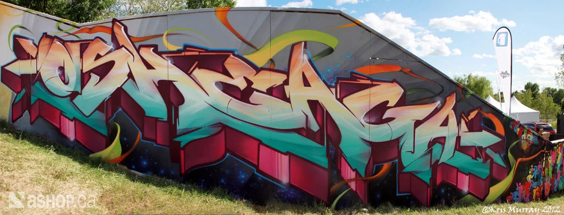 osheaga finished wall aug 6 2012 9 wm.jpg