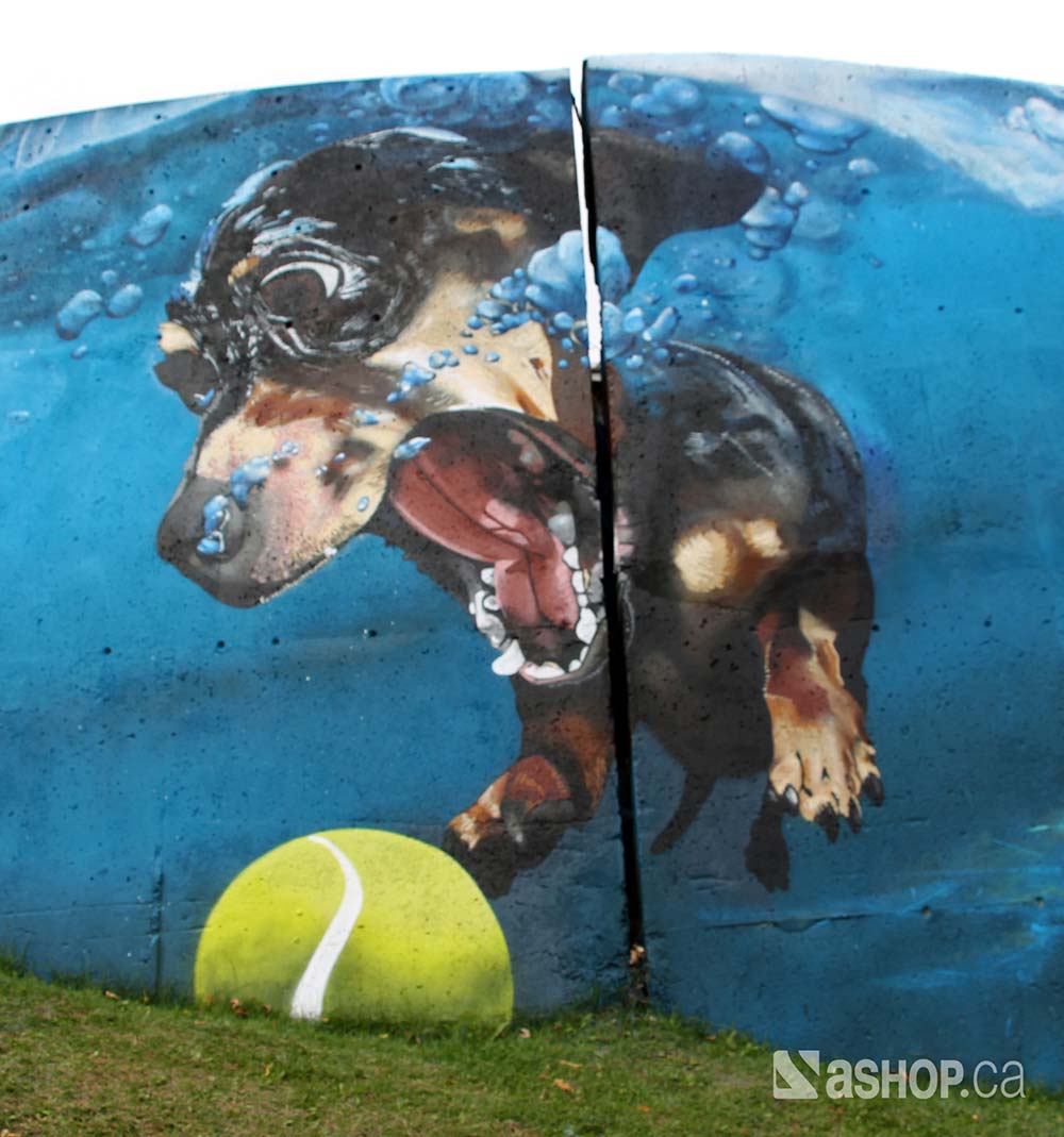 ashop_a'shop_murals_graffiti_street_art_montreal_pointe_claire_dog.jpg