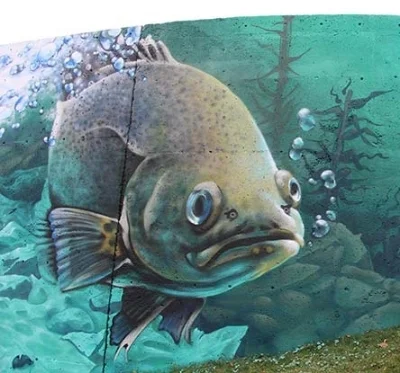 La plus grosse murale A'shop de tout les temps!