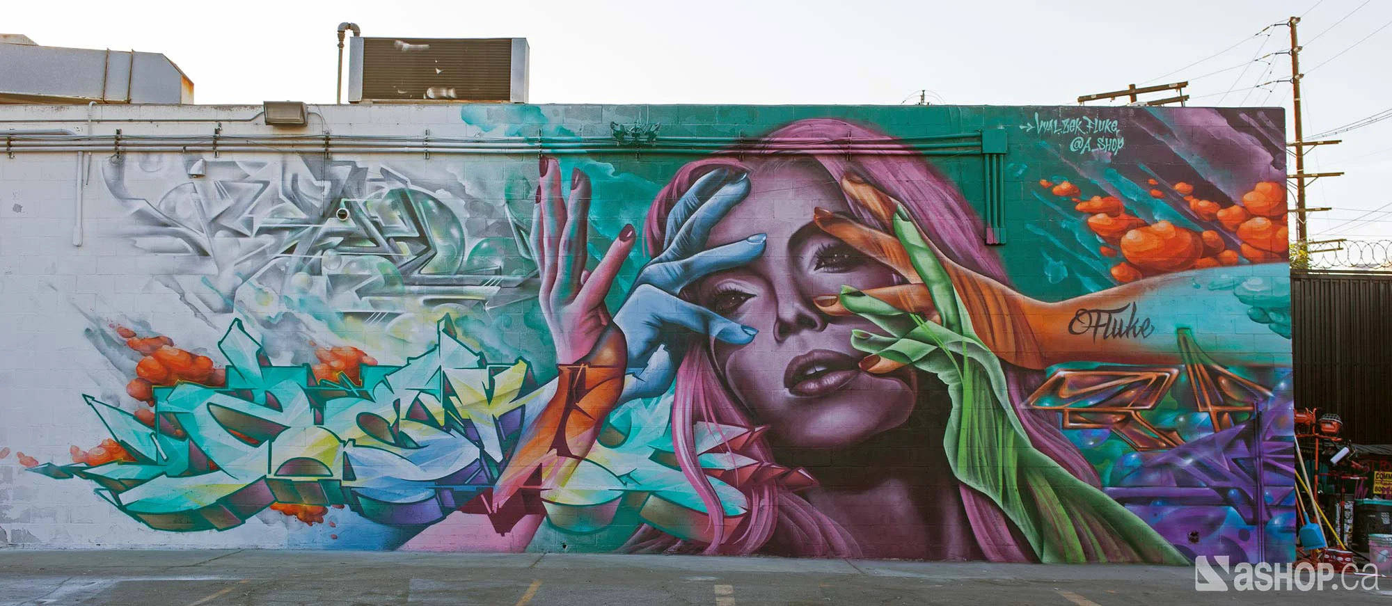 A'shop-ashop-fluke-vyal-zeck-LosAngeles-LA-los-angeles.jpg