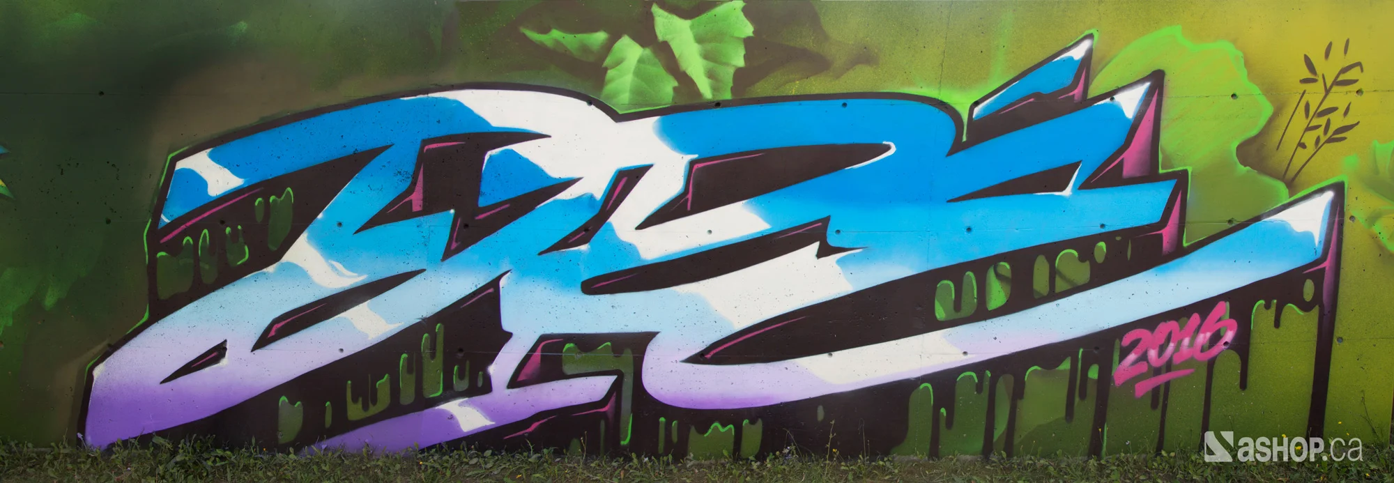 earthcrusher_ashop_a’shop_mural_murales_graffiti_street_art_montreal_paint_cheminvert_WEB.jpg