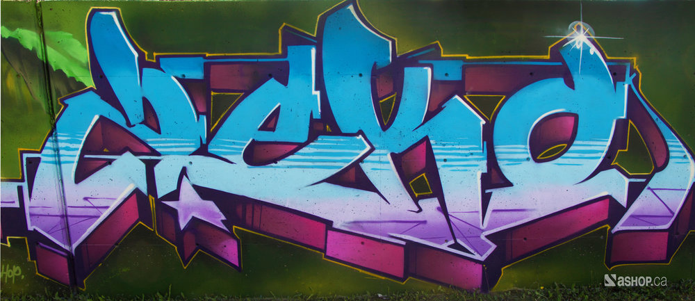 zek_ashop_a’shop_mural_murales_graffiti_street_art_montreal_paint_cheminvert_WEB.jpg