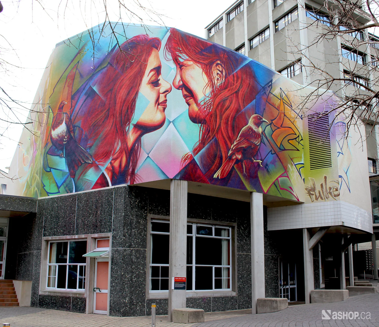 Ashop-Otago University-Mural-New Zealand-2015