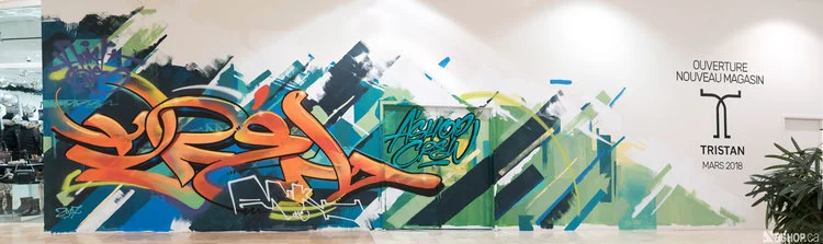 Ashop-Tristan Style-Mural-Montreal-2017