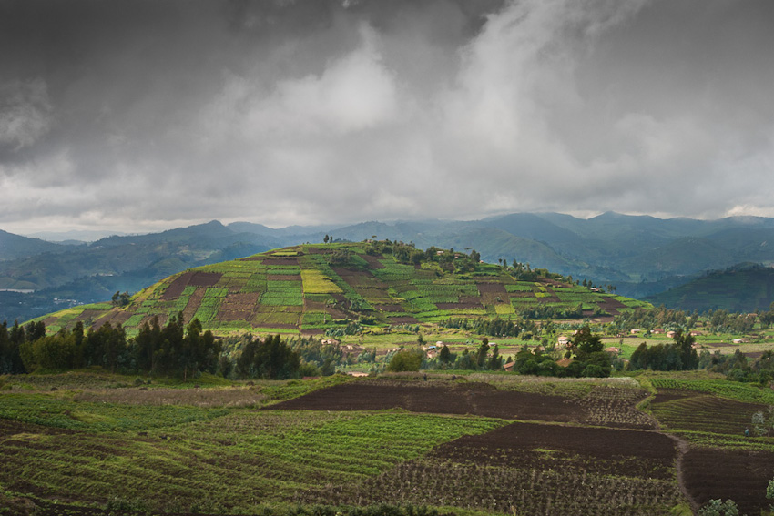 CRW_0010.jpg