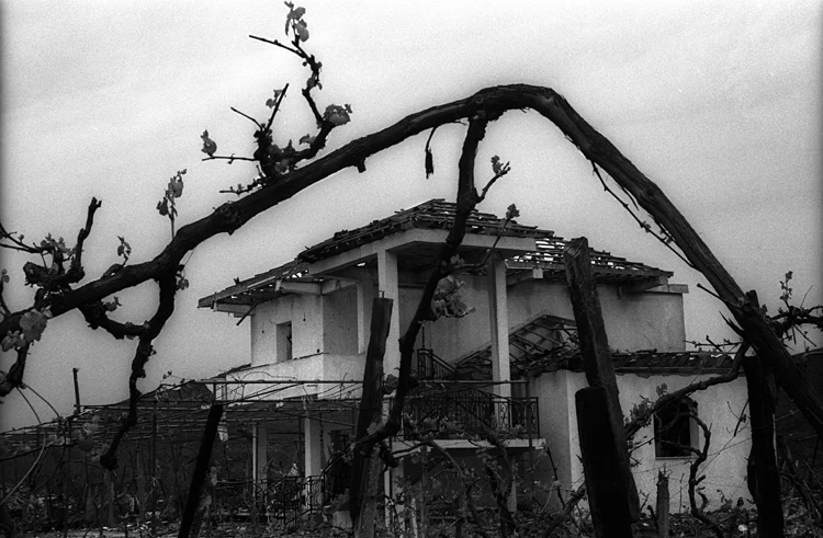 05_GerdecFilm005.jpg