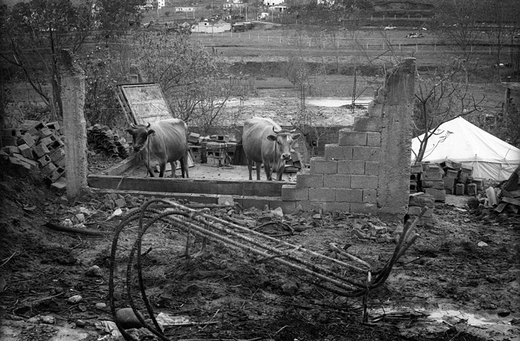 15_GerdecFilm070.jpg