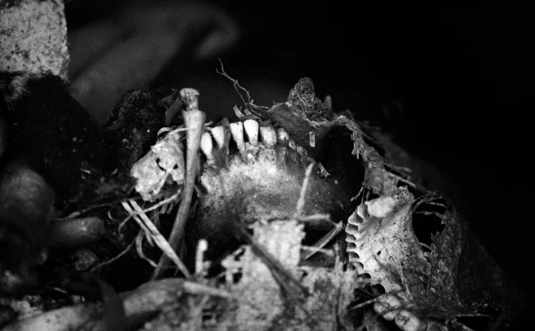 CRW_1984-Edit.jpg