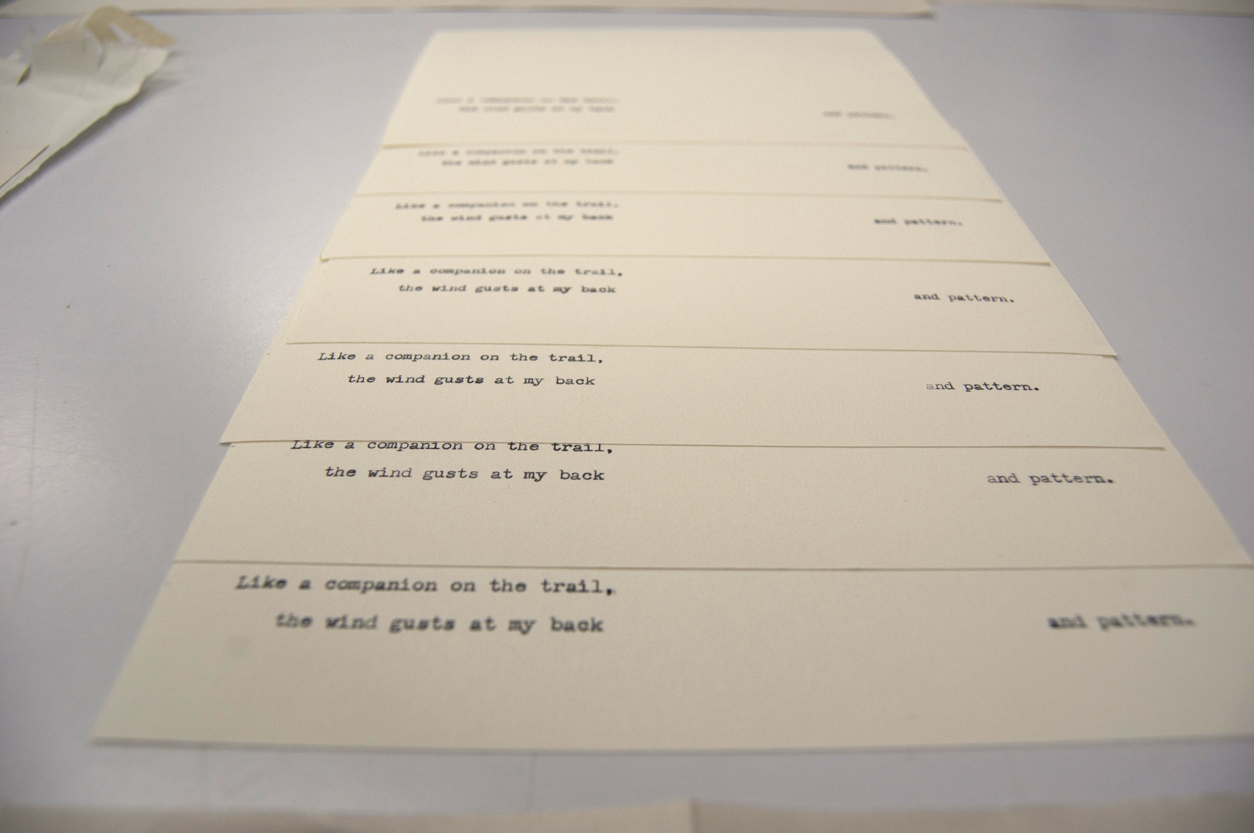 Nicole's handy work. Pages from the edition, typed over and over.