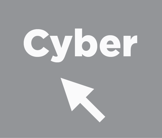 Cyber Liability - The cyber liability term "cyber liability insurance cover" is often used to describe a range of covers- in very much the same way that the word cyber is used to describe a broad range of information security related tools, processes and services. 