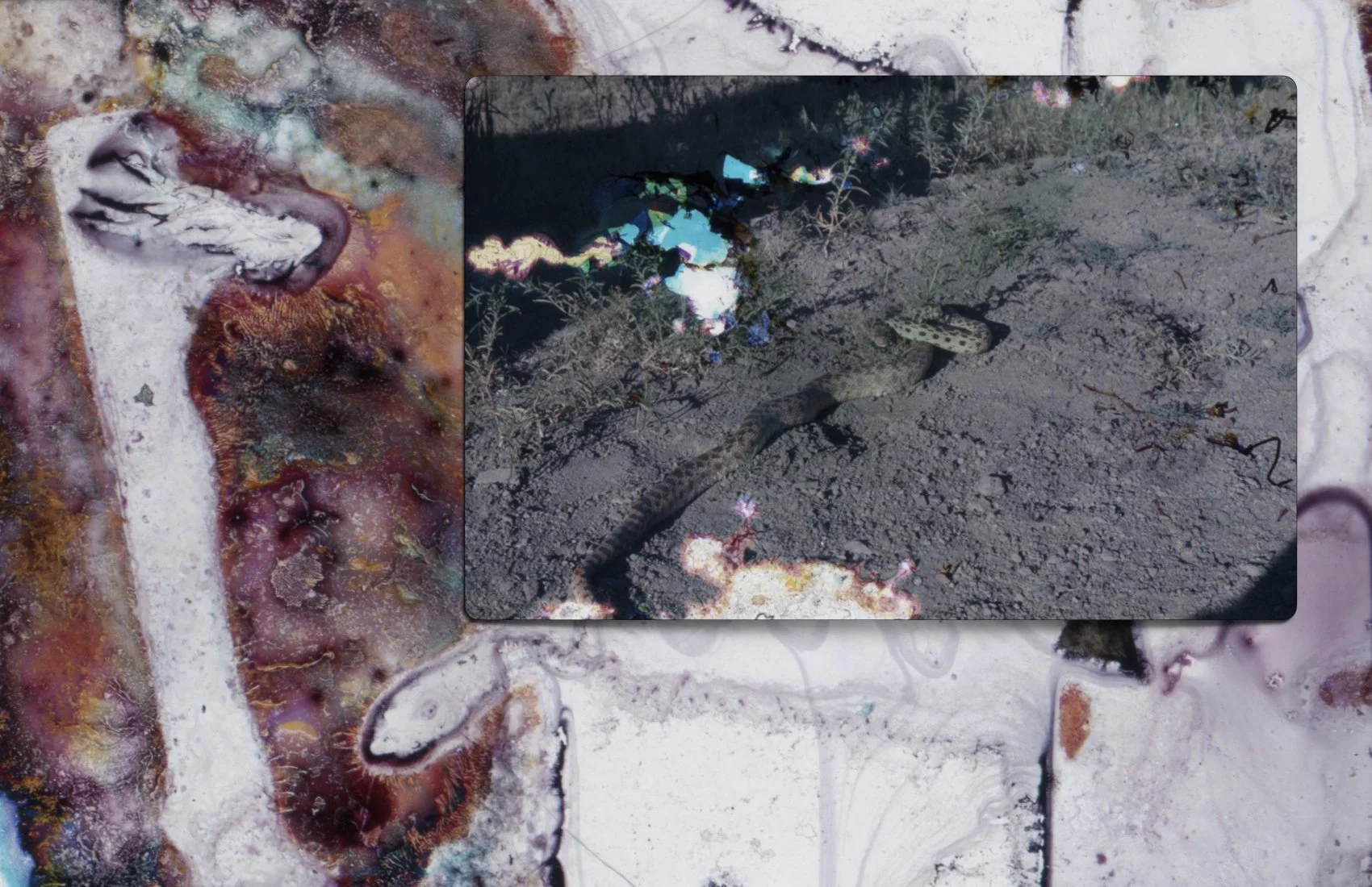 water_damaged_slides_.009.jpeg