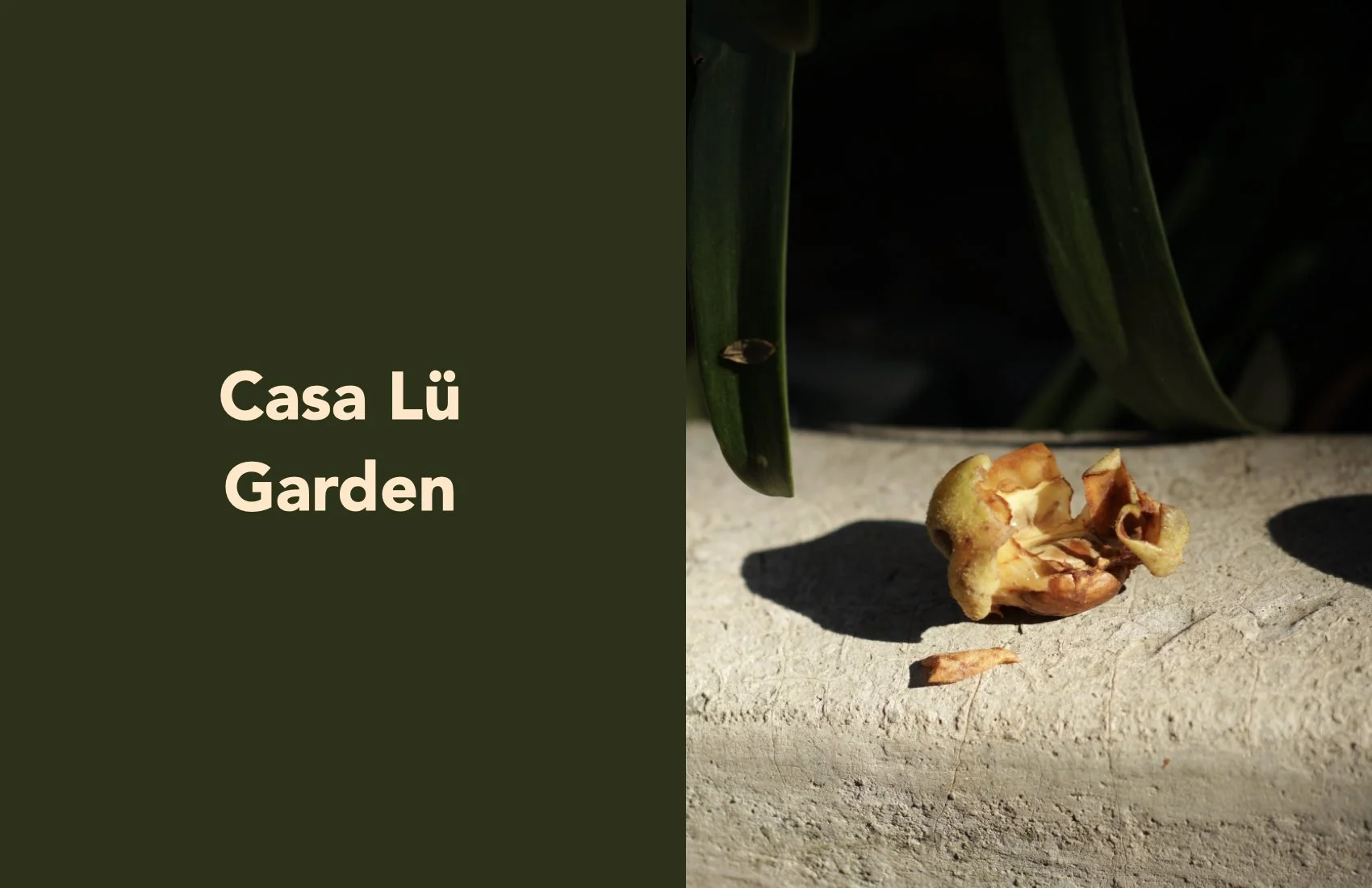 casa_lu_garden_001.jpeg