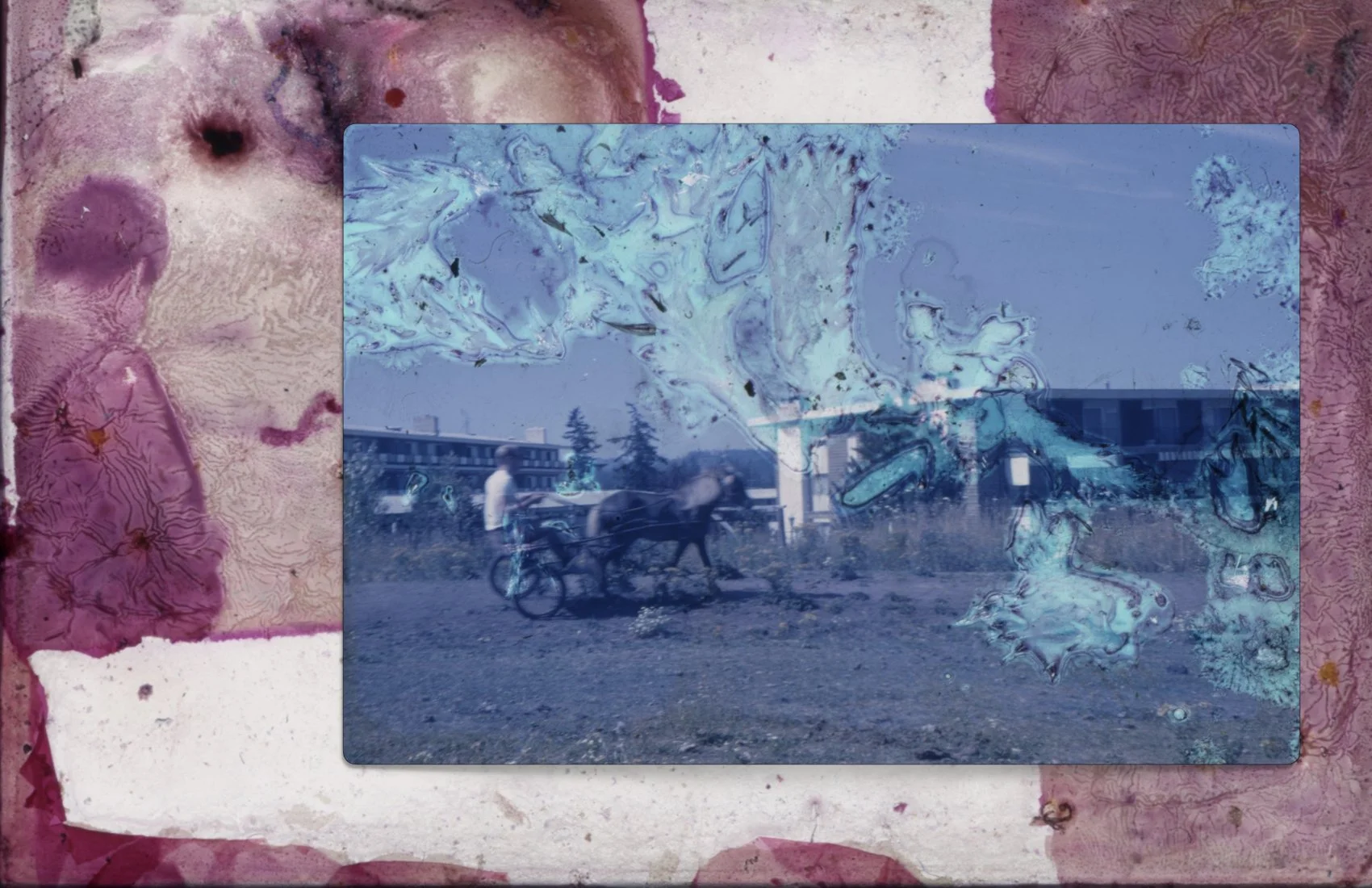 water_damaged_slides_.005.jpeg