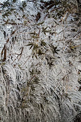 Take advantage of the moment! 