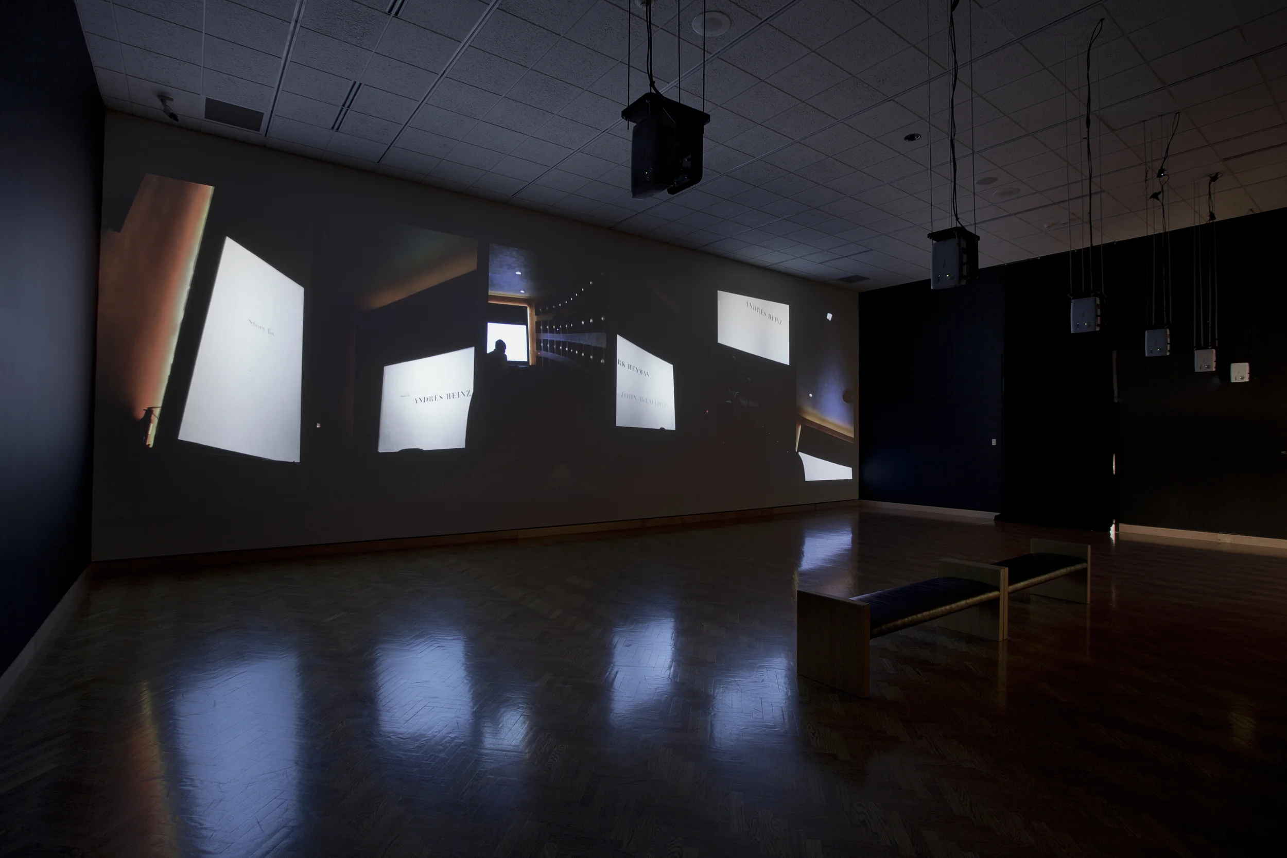 Movie (Black Swan) , six channel video installation, 8:23, Minneapolis Institute of Arts, 2011, Walker Art Center, 2015